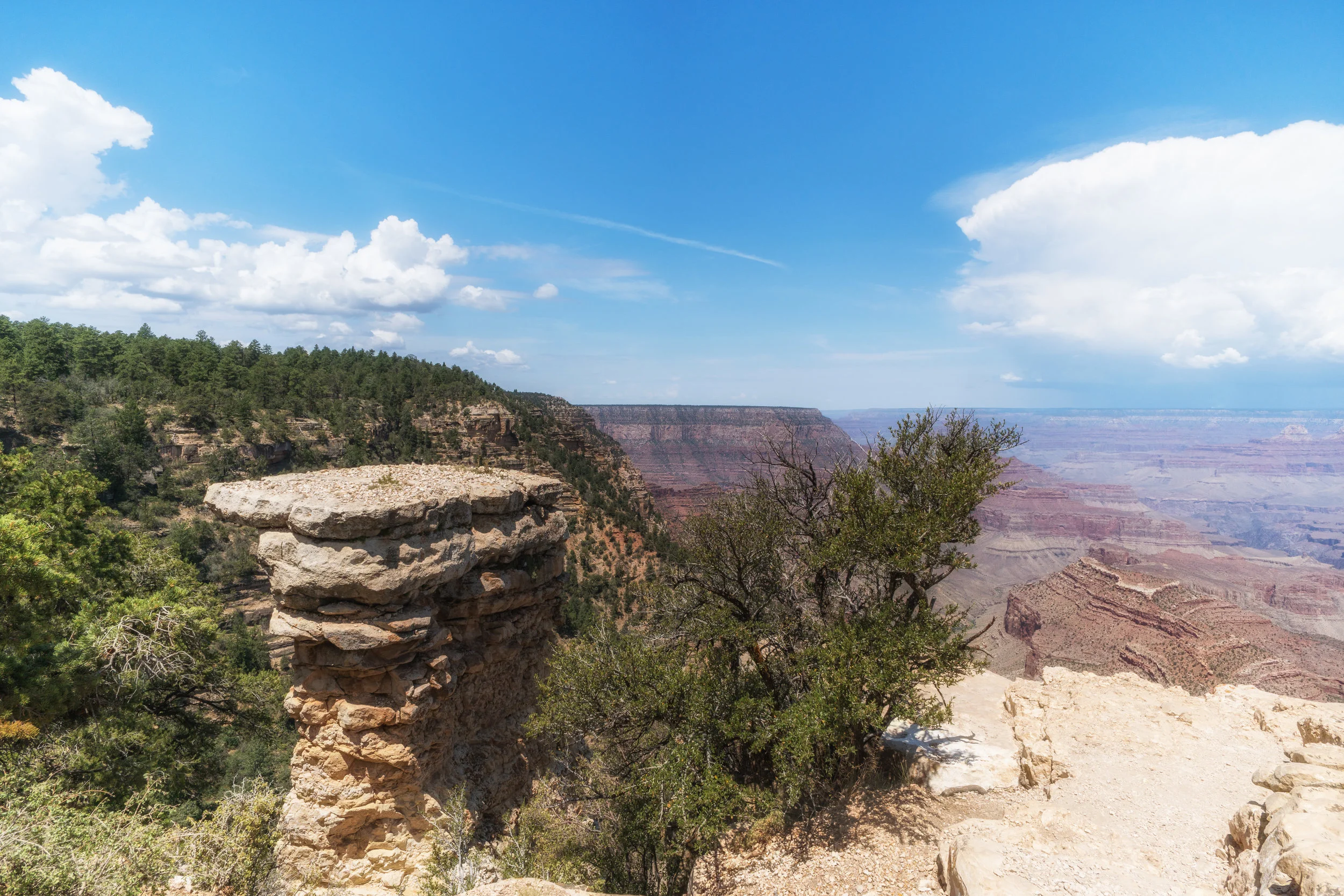 Grand Canyon 2nd batch-13.jpg