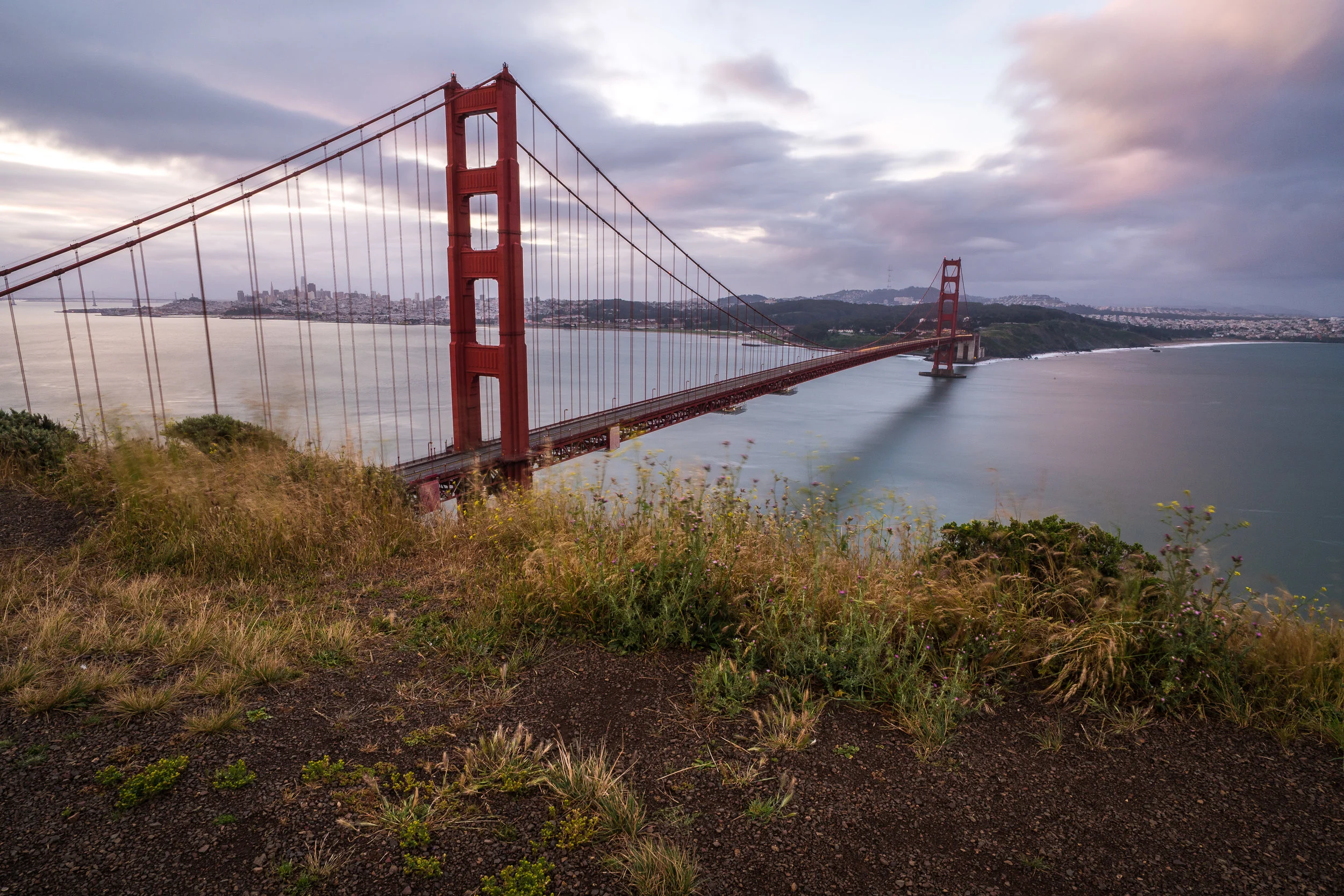 San Francisco d3-1.jpg