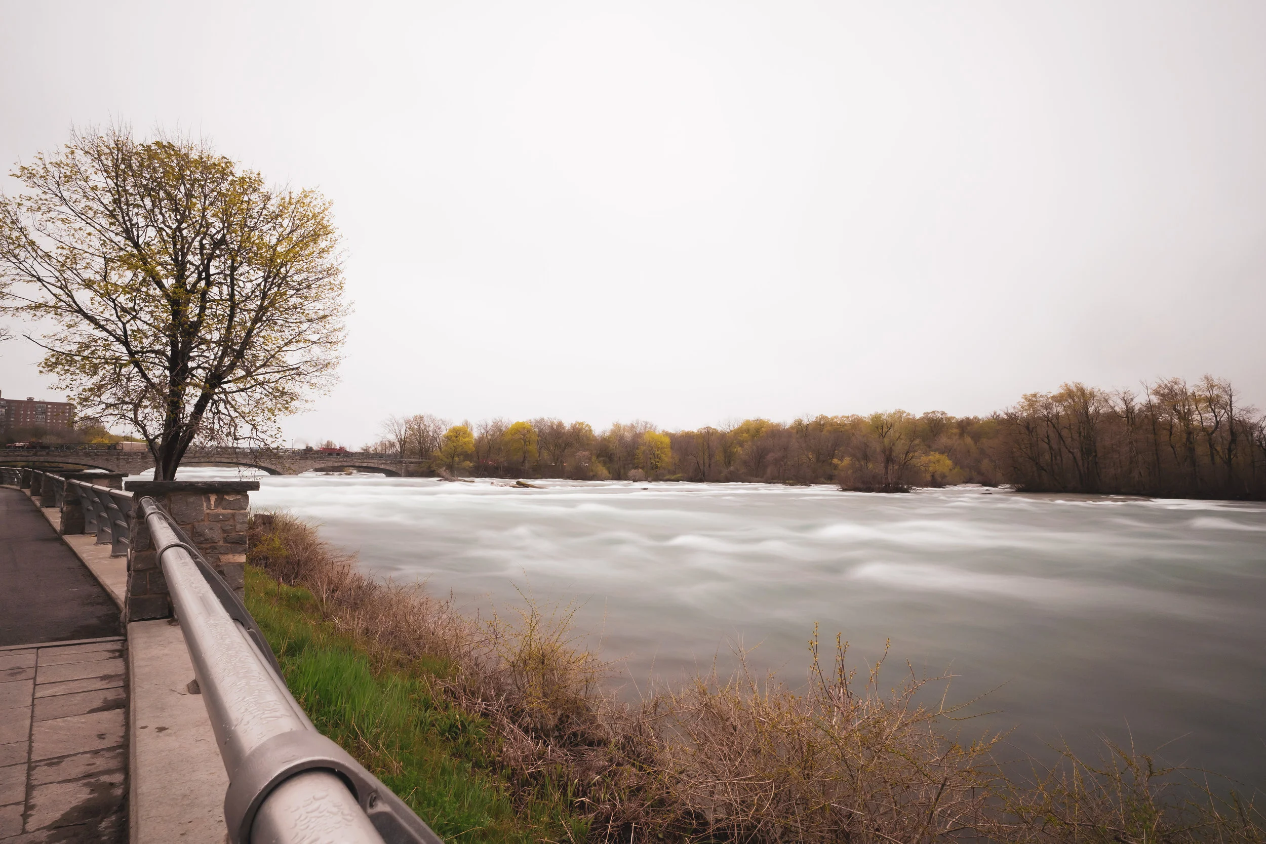 niagara d2-1.jpg