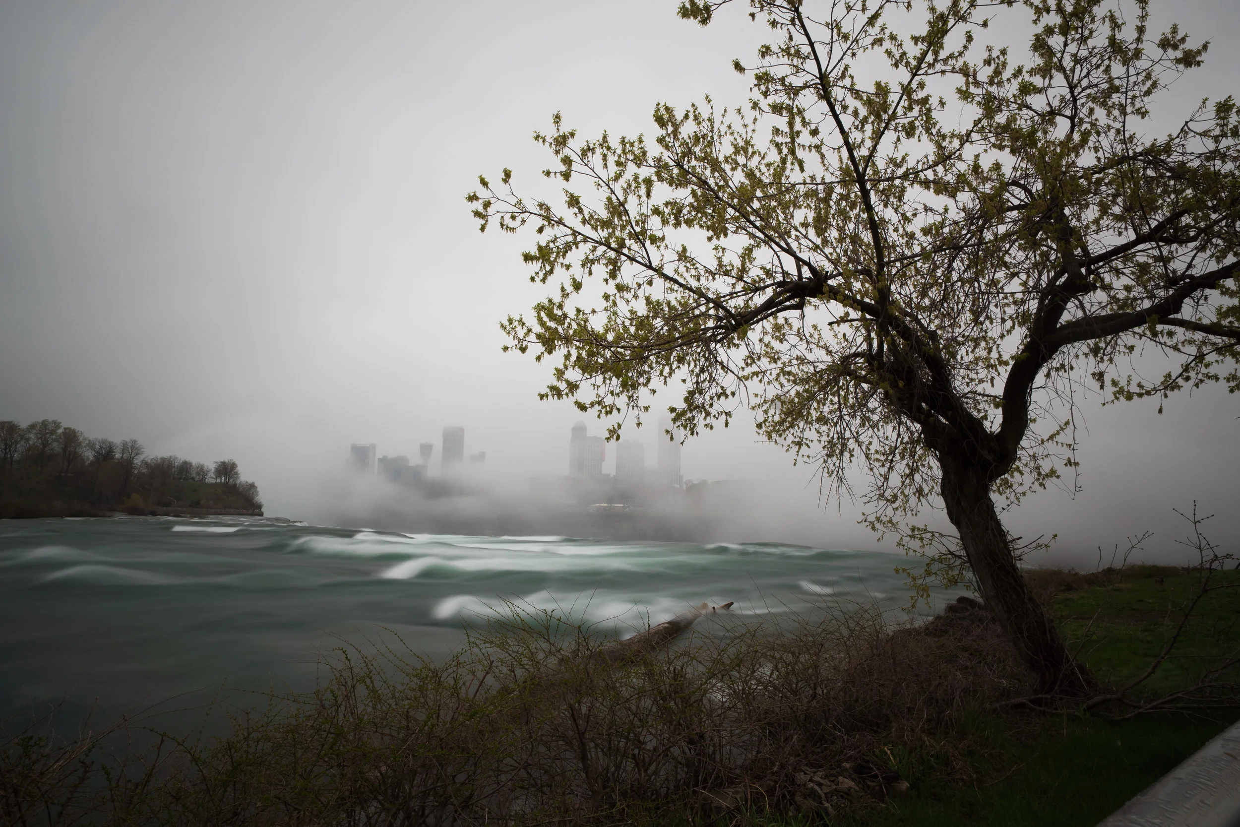 niagara d2-4.jpg