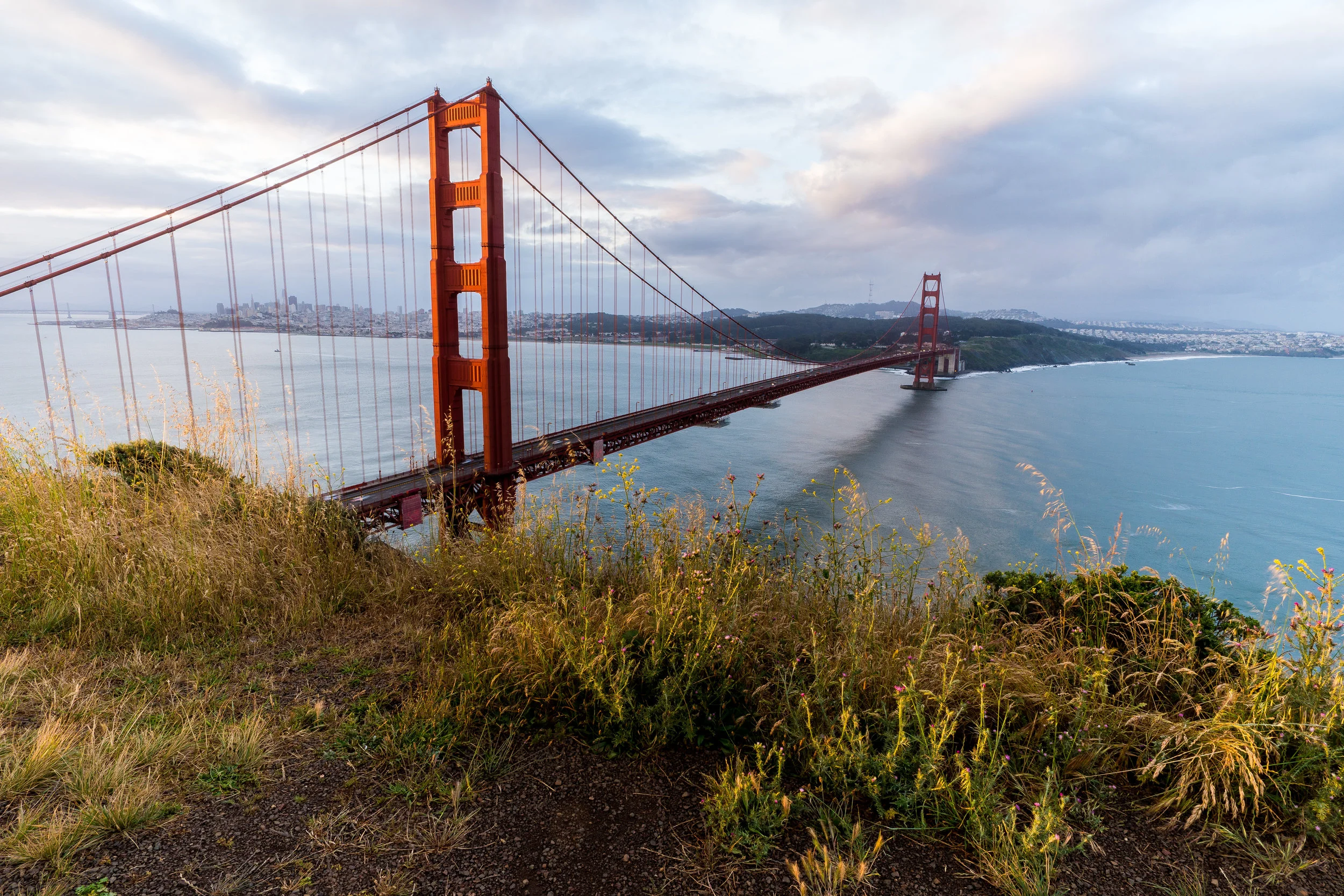 San Francisco d3-2.jpg