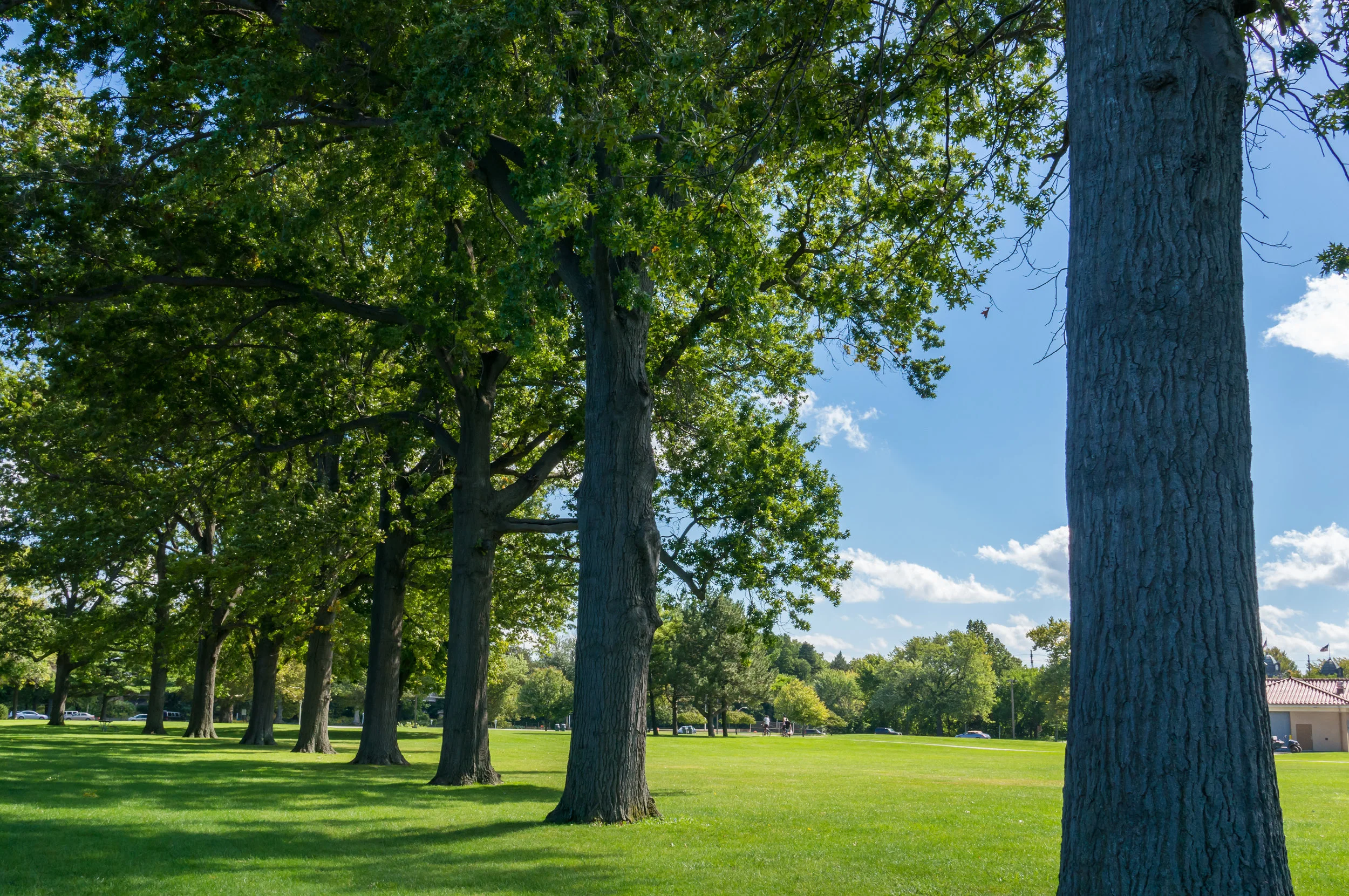 Cleveland Park-1.jpg