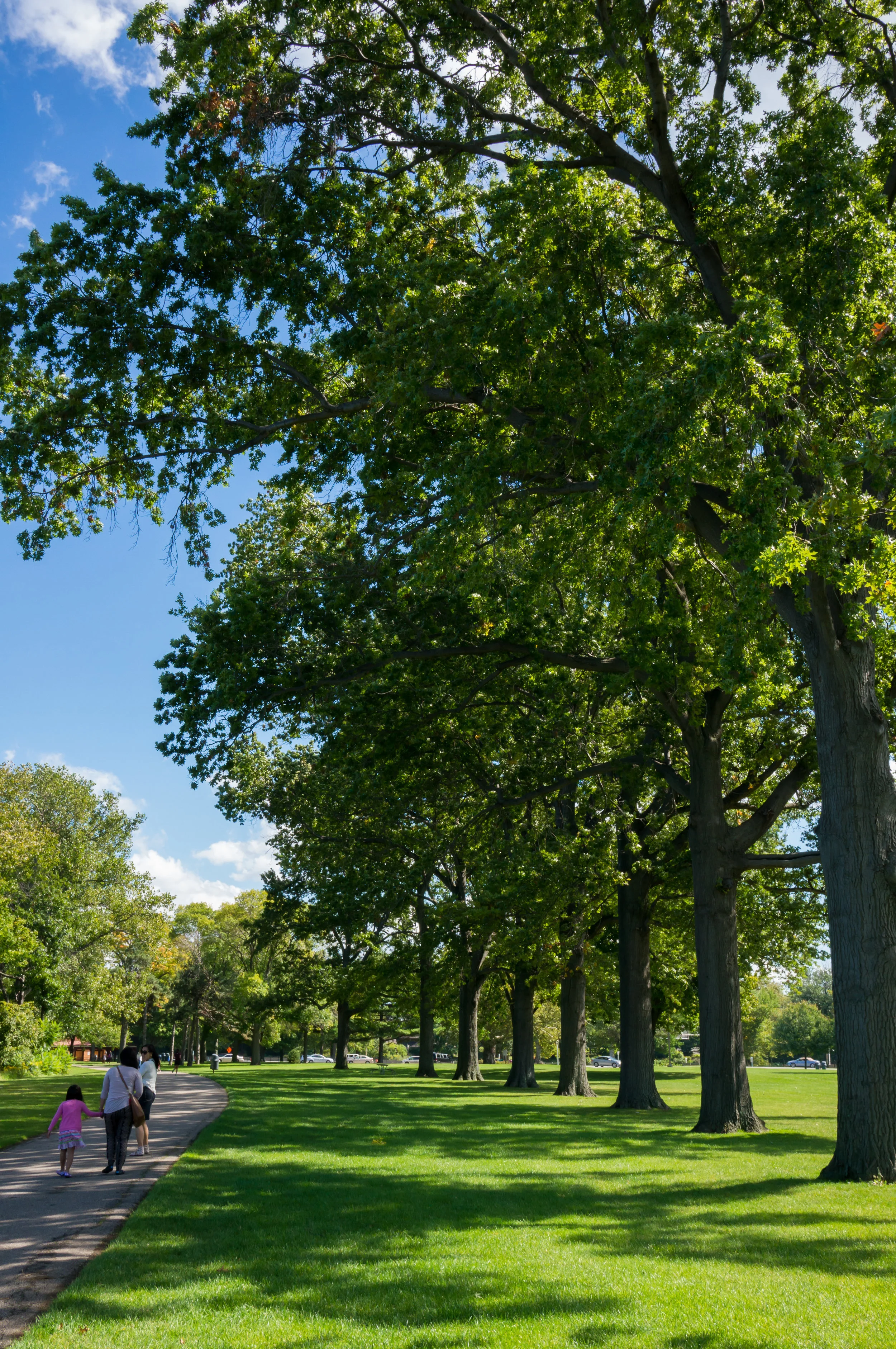 Cleveland Park-2.jpg