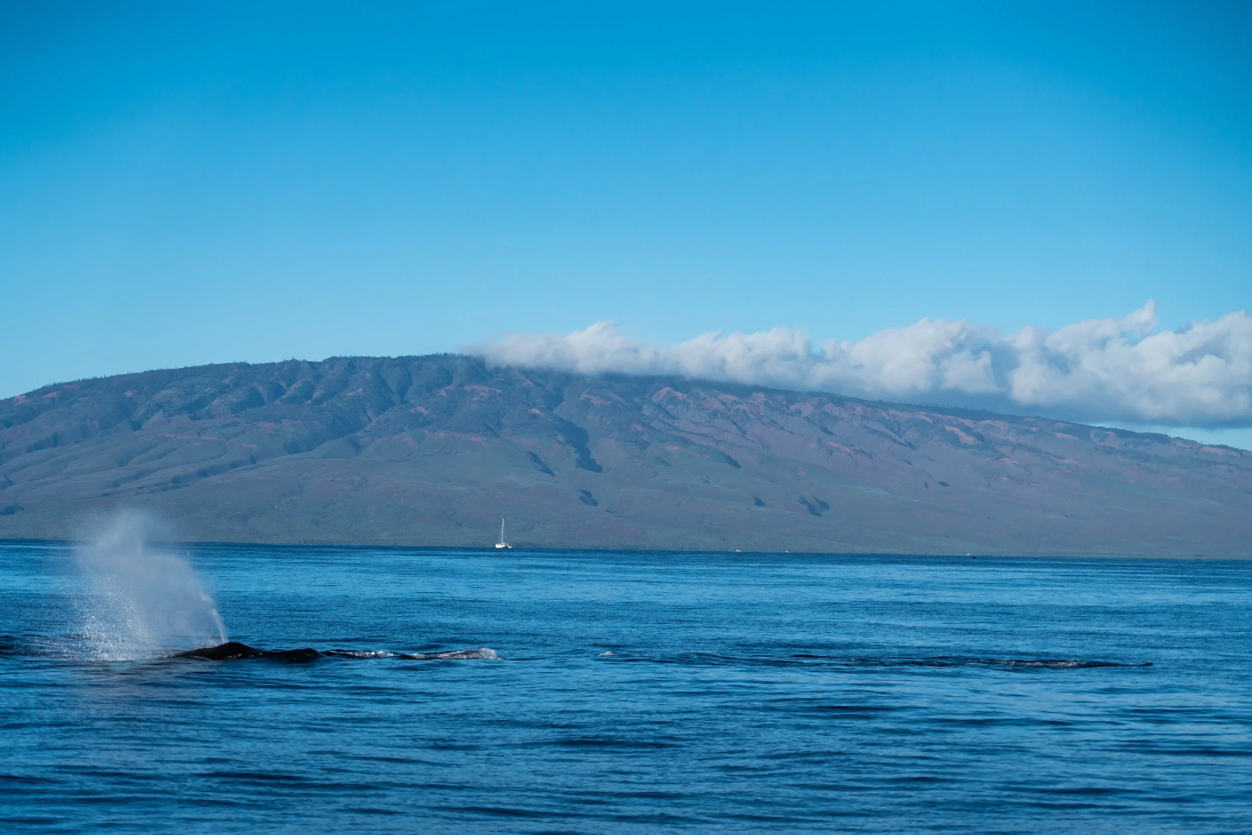 Maui-00048.jpg