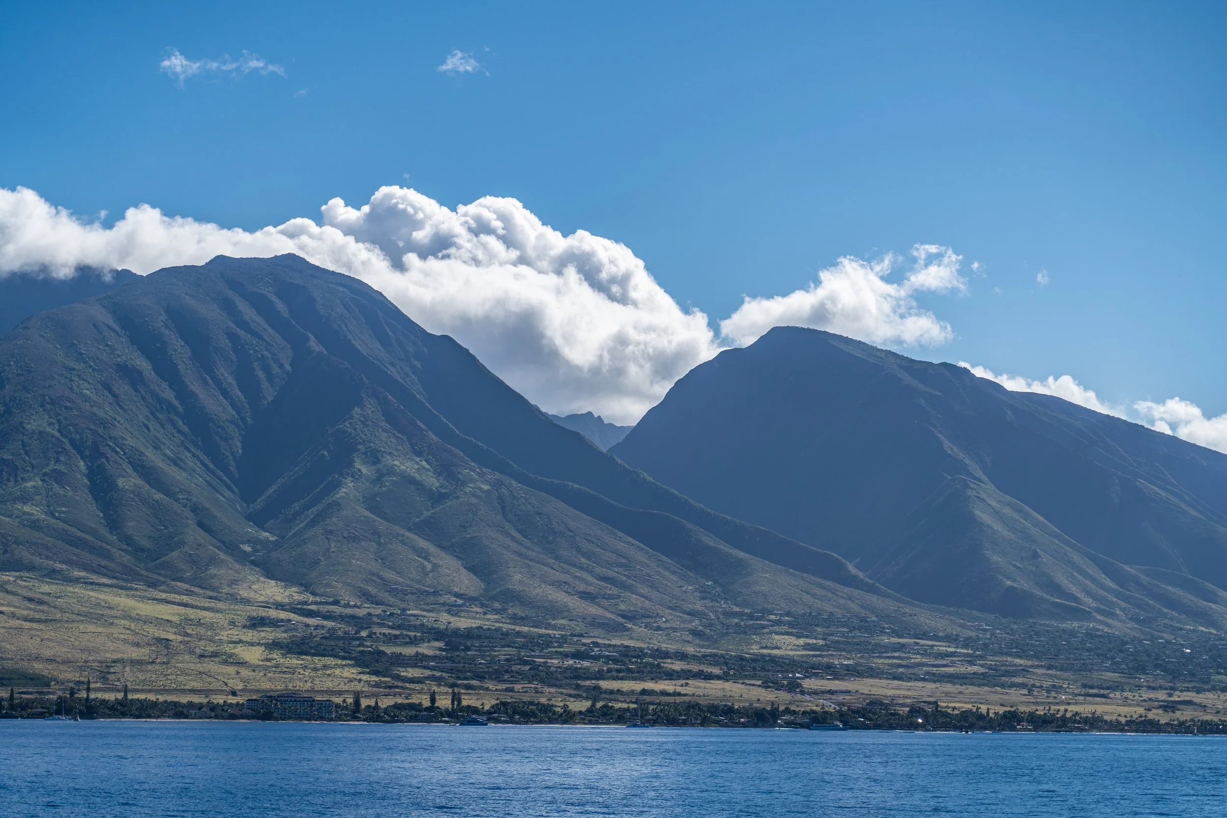 Maui-00077.jpg