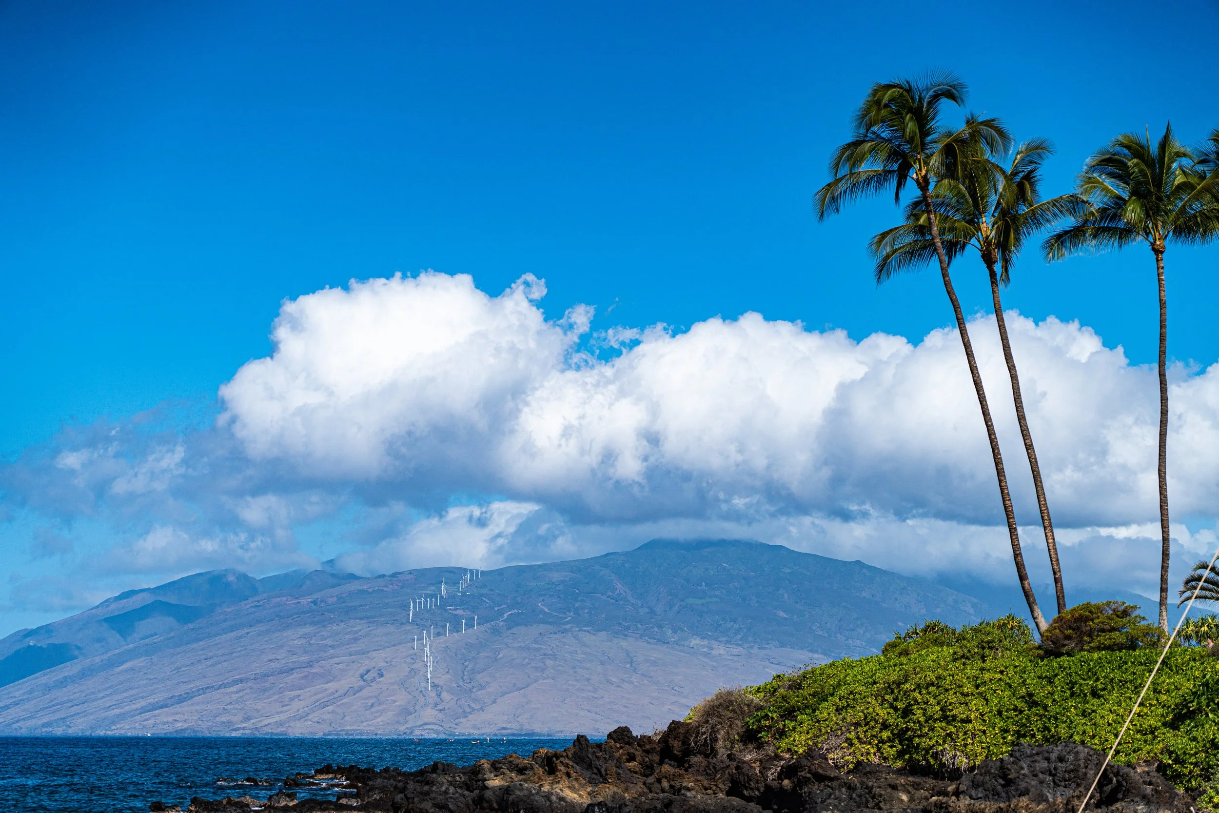 Maui-00177.jpg
