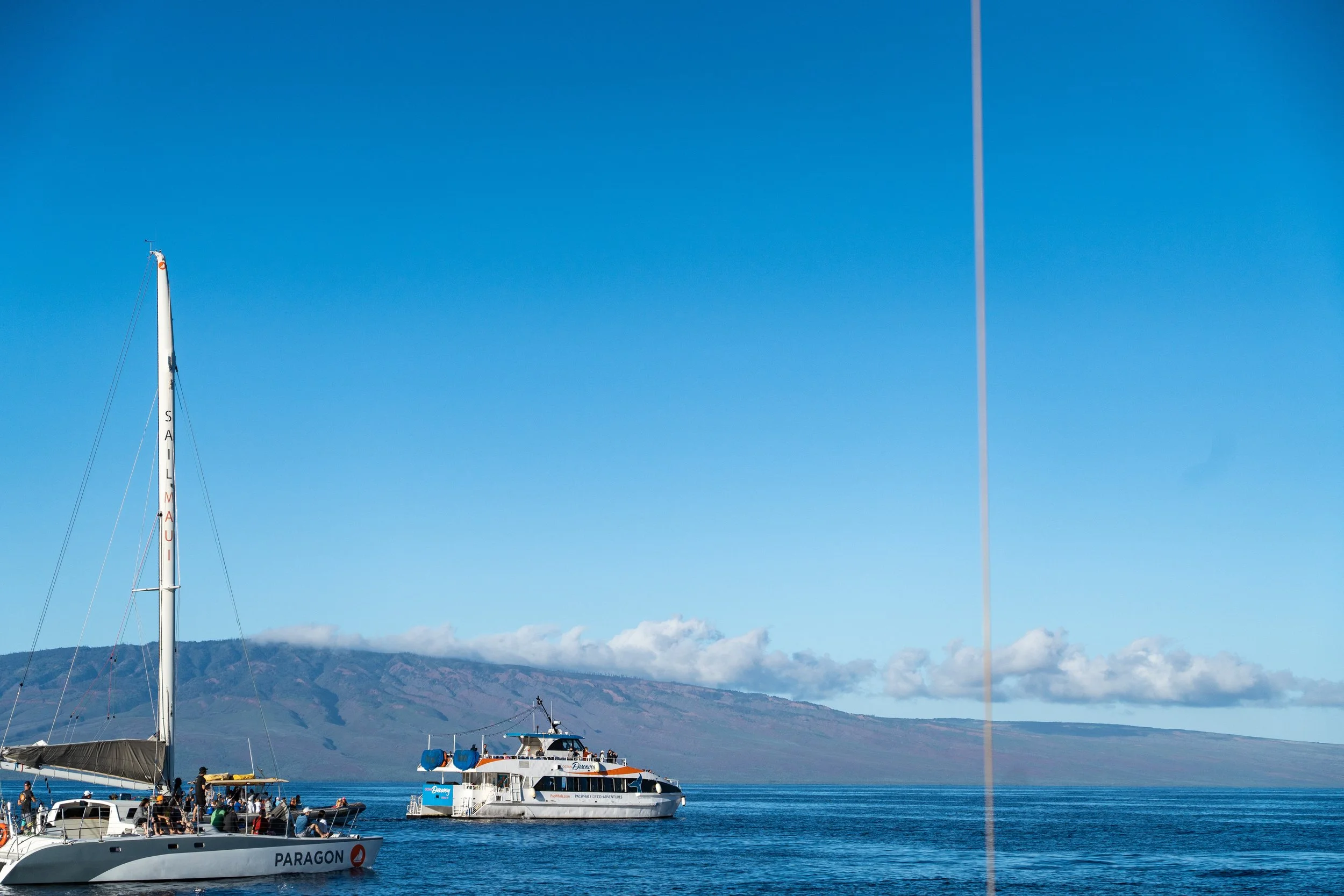 Maui-00052.jpg