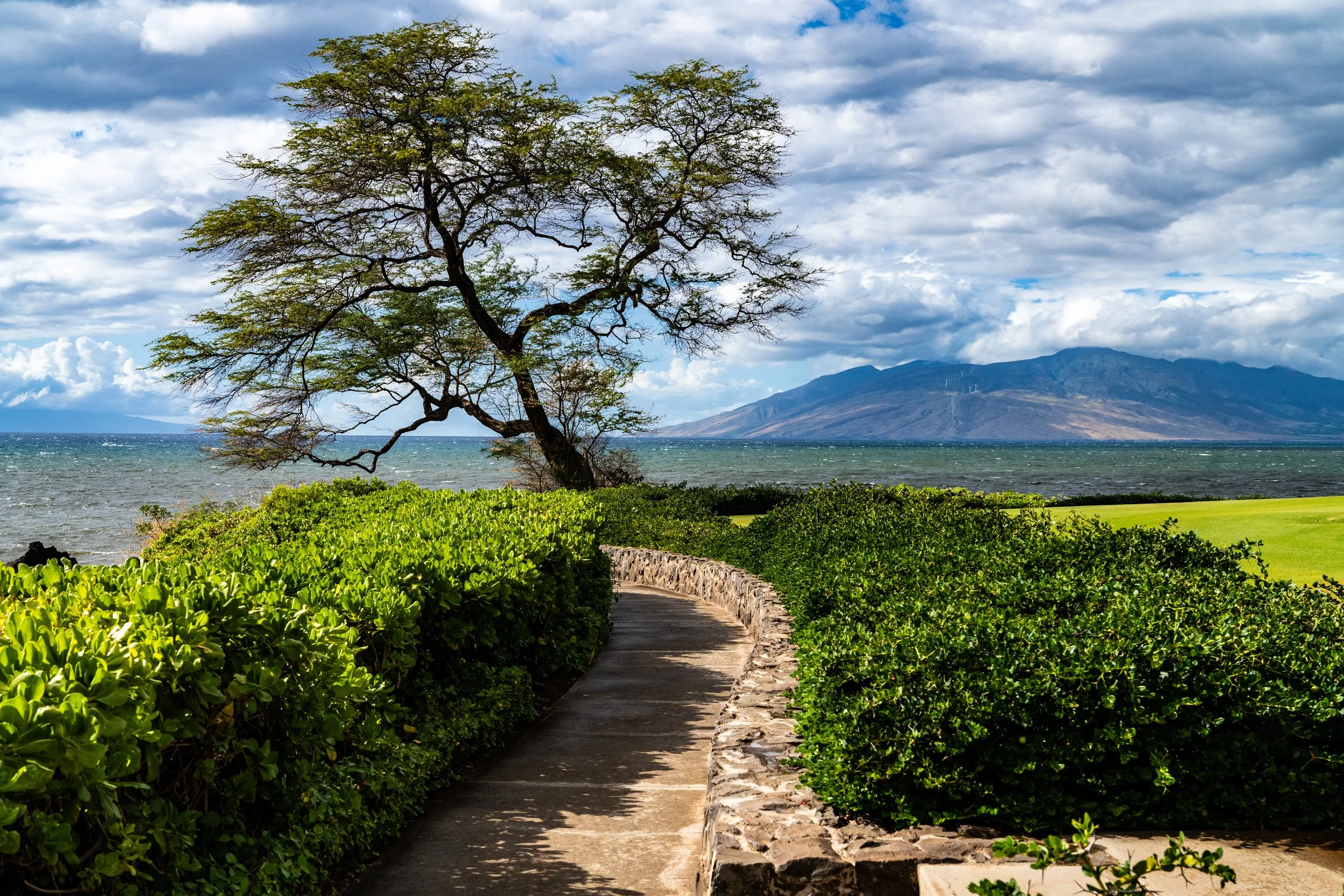 Maui-00105.jpg