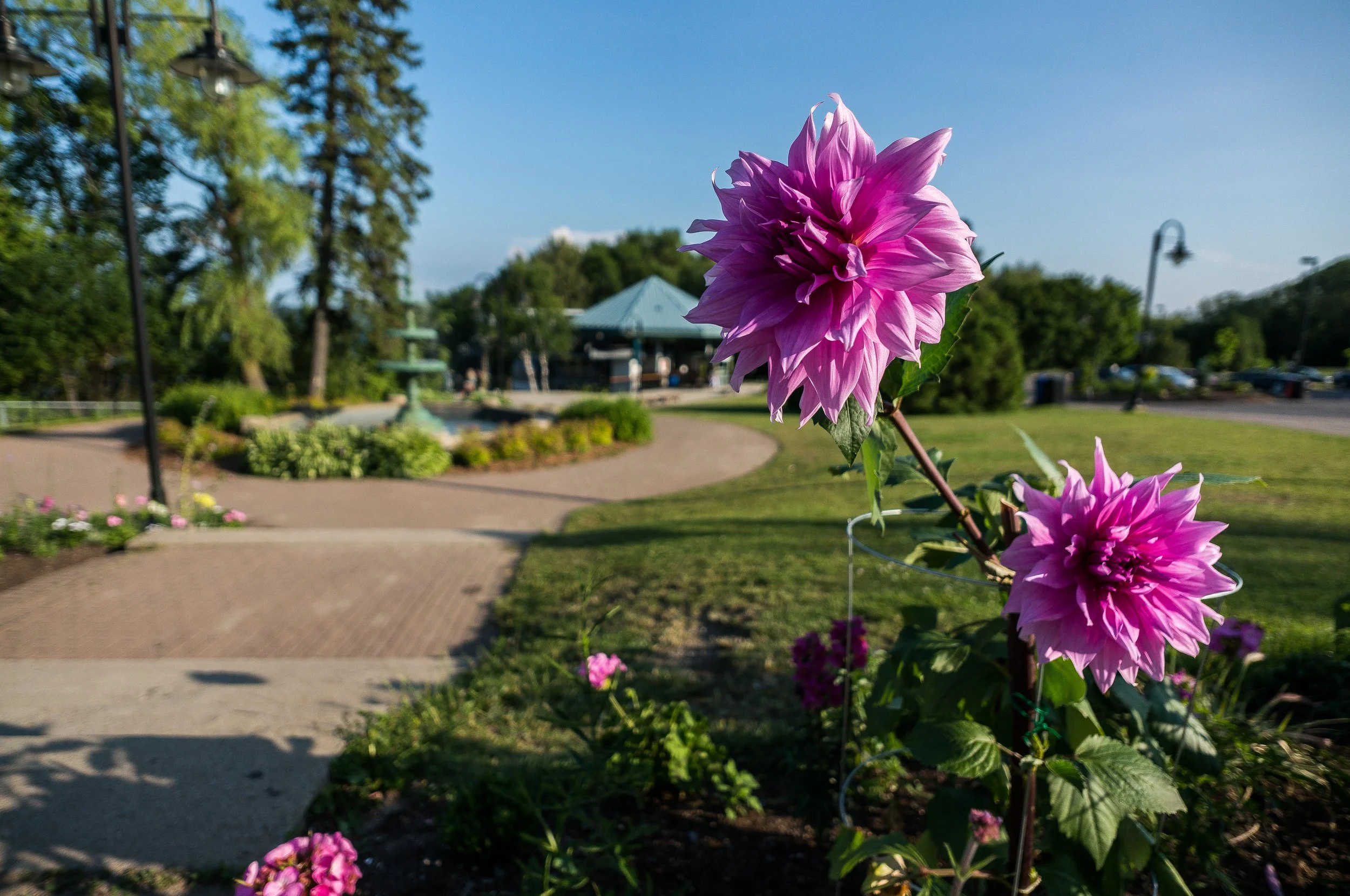 DSC04082-18.jpg