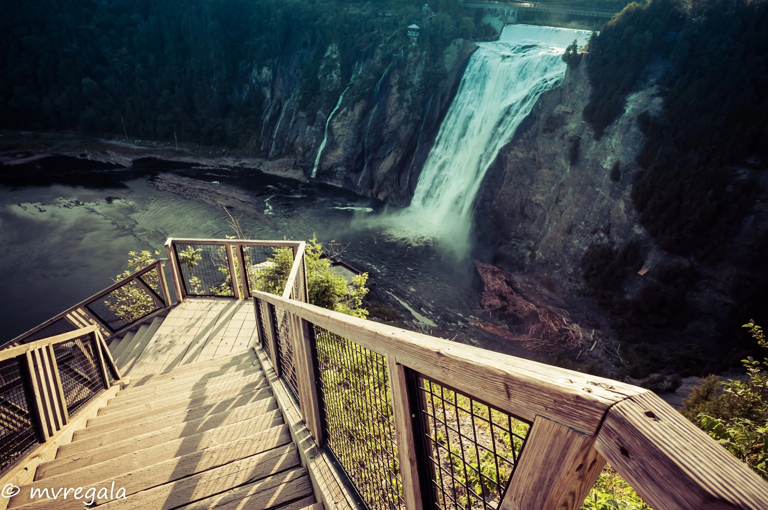Montmorency-5.jpg