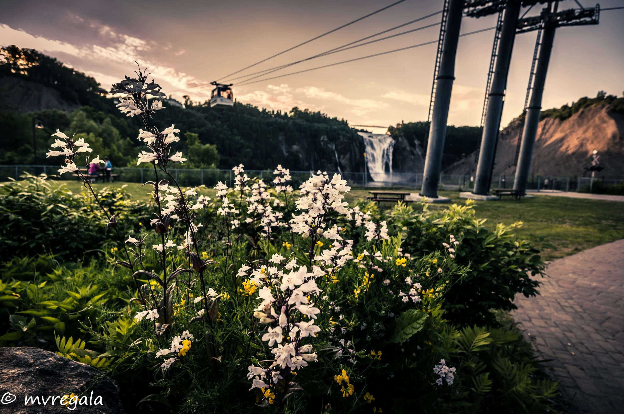 Montmorency-7.jpg