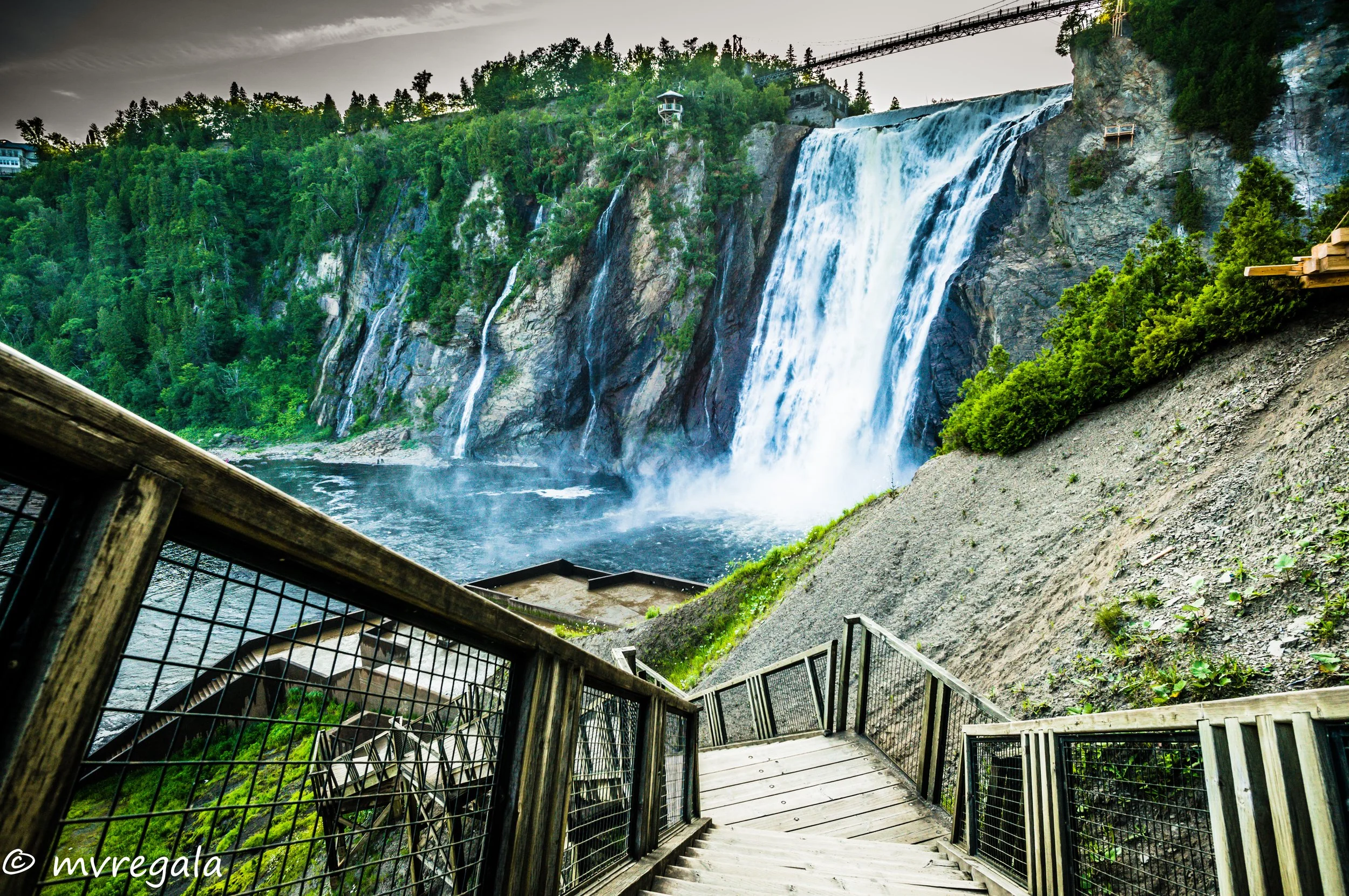 Montmorency-6.jpg