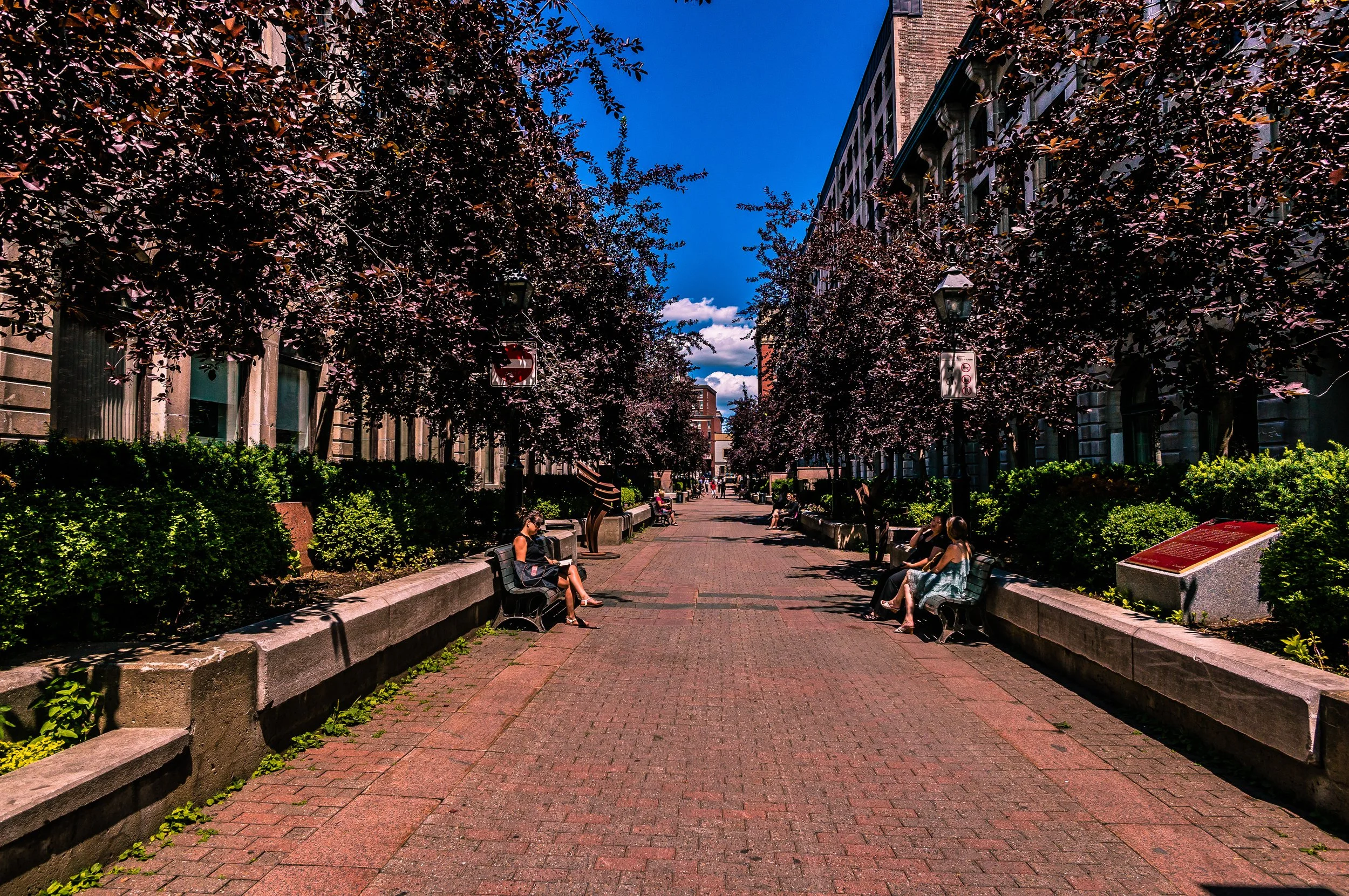 DSC04777-18.jpg