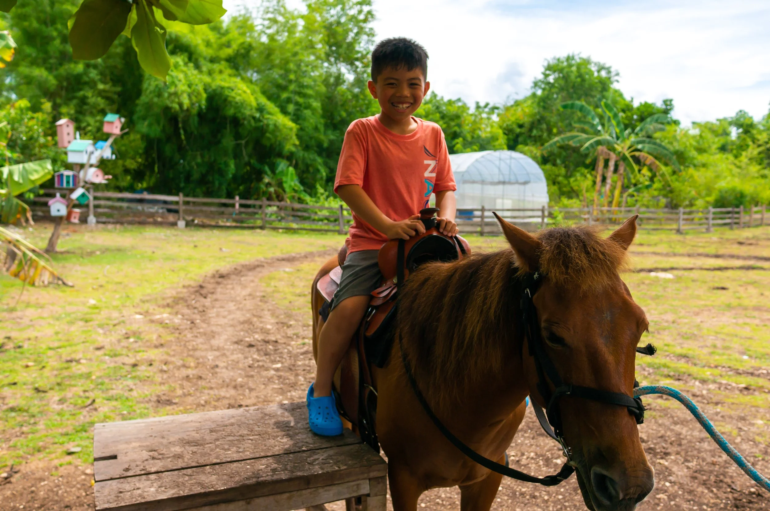 Bohol-5.jpg