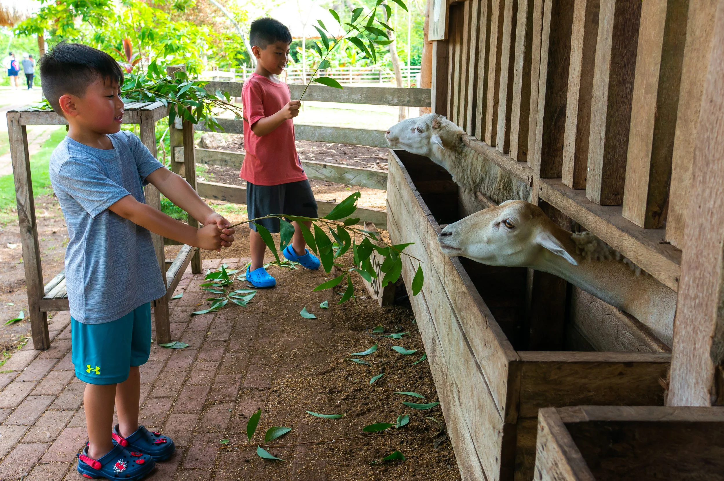 Bohol-9.jpg