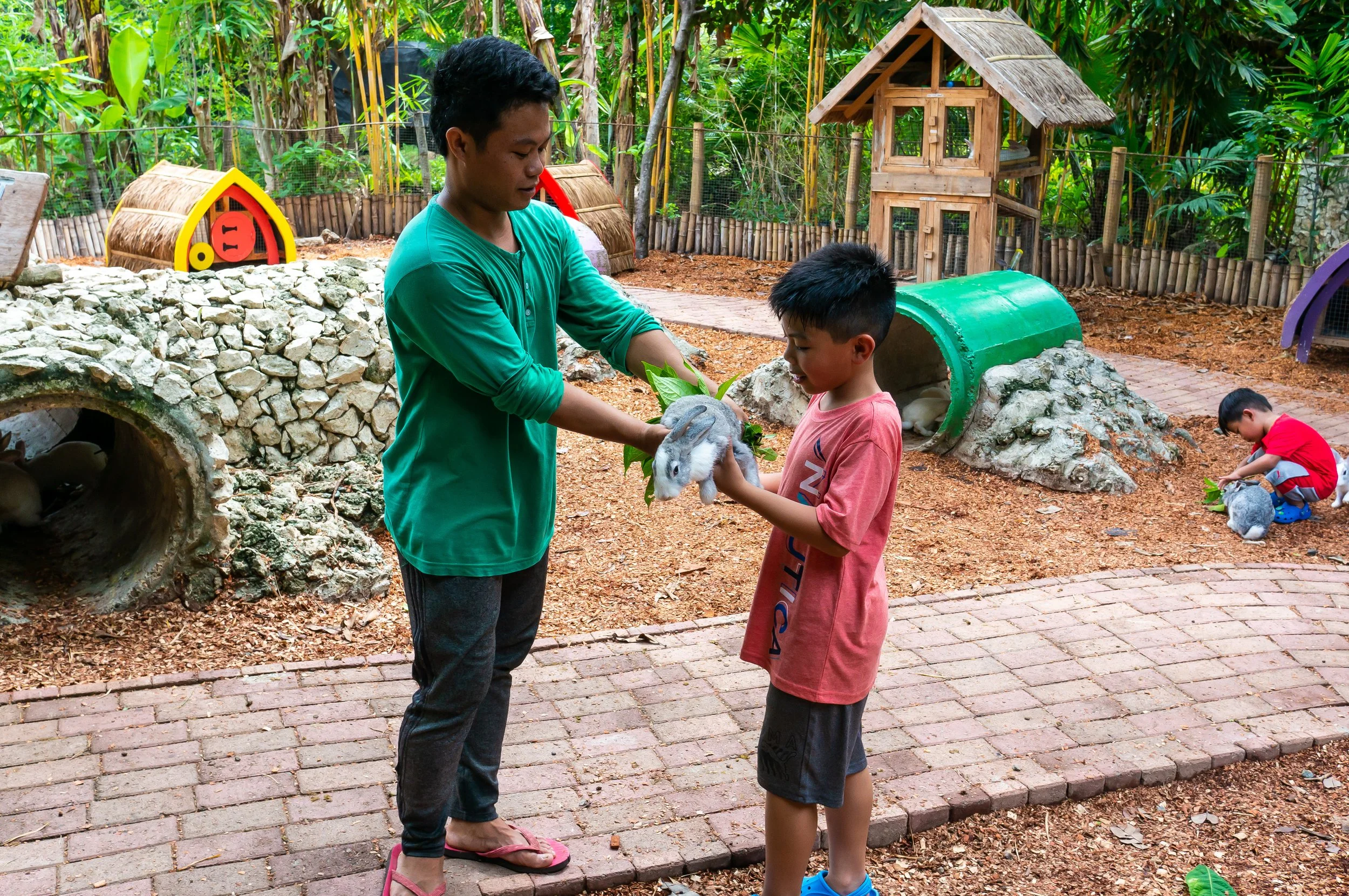 Bohol-17.jpg