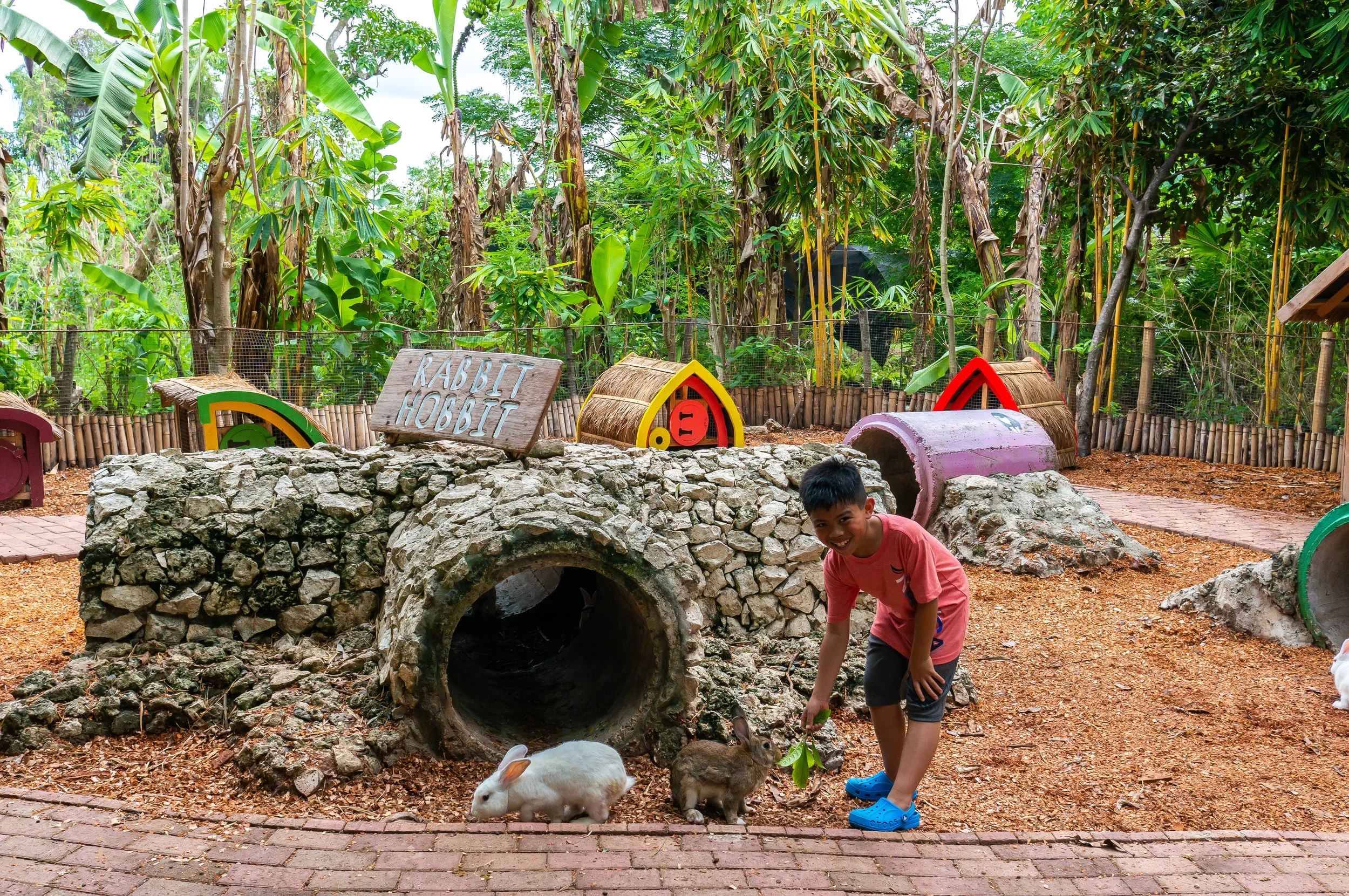 Bohol-16.jpg