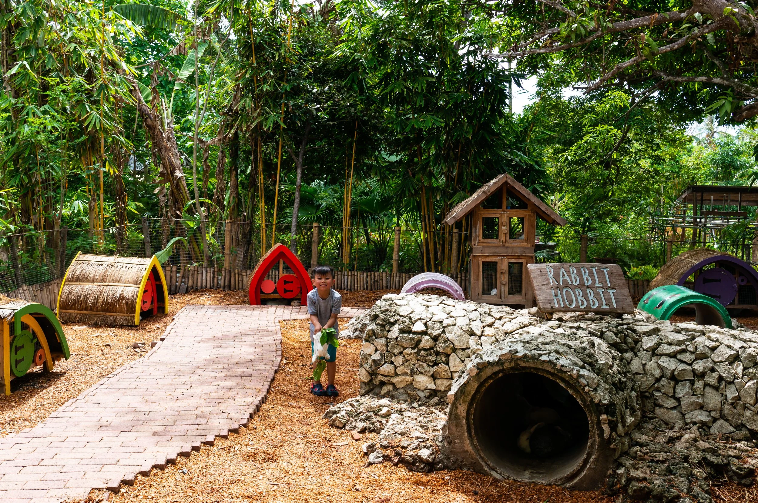 Bohol-19.jpg