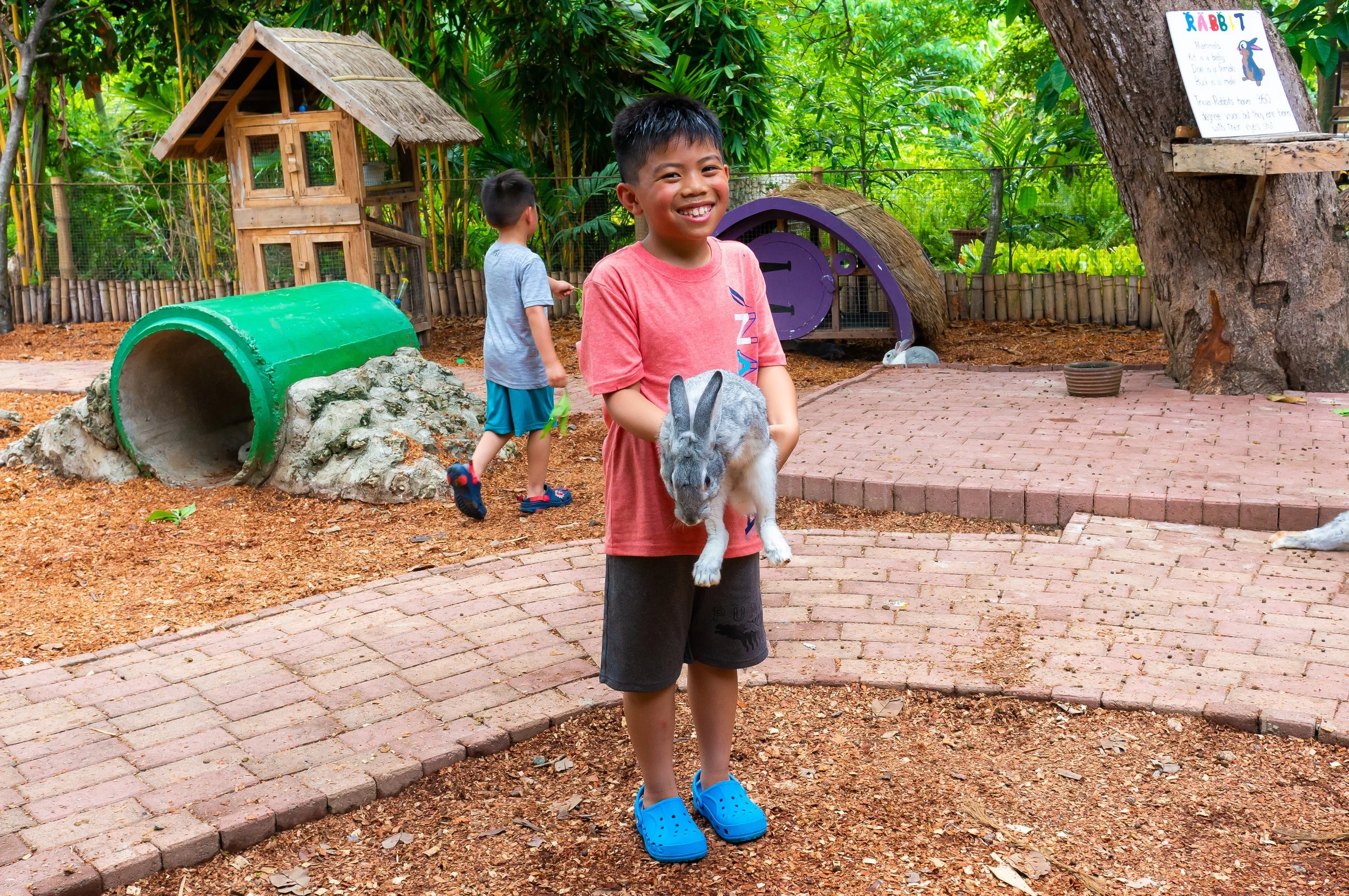 Bohol-22.jpg