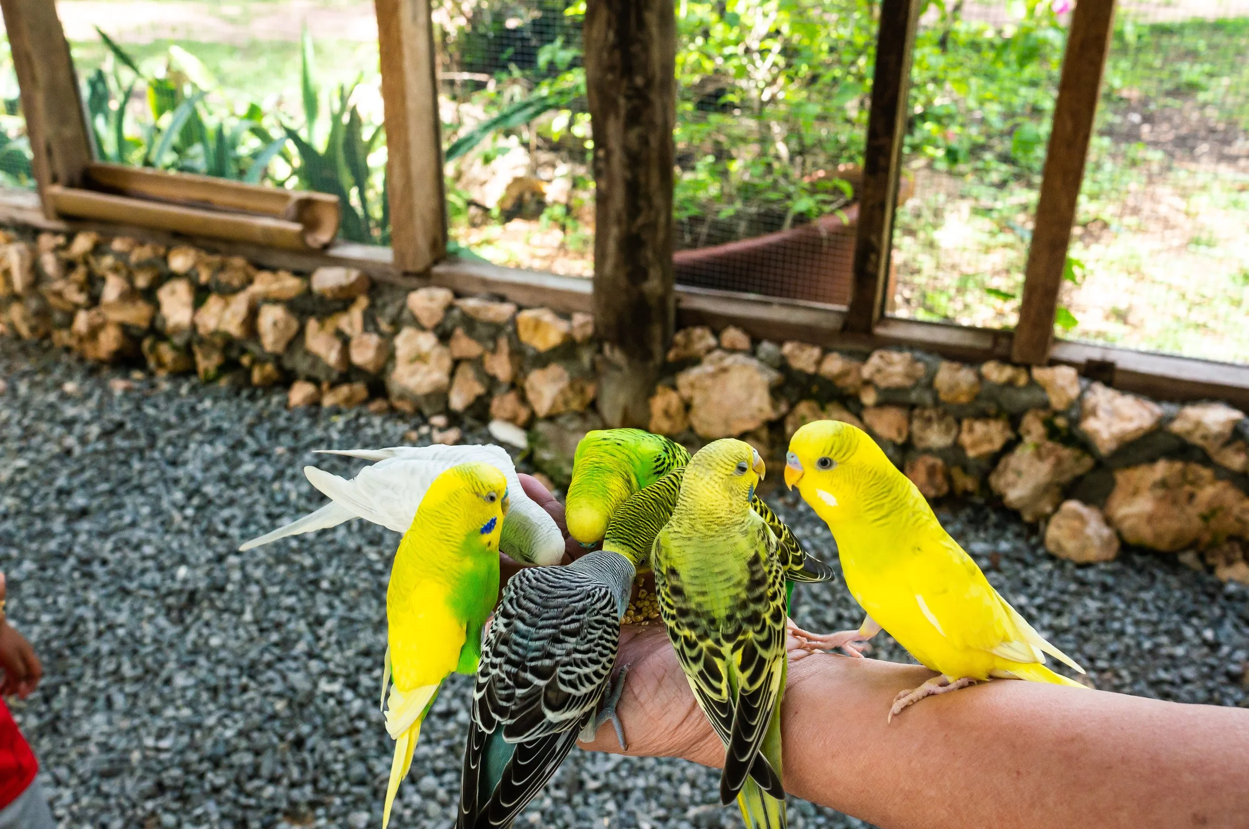 Bohol-25.jpg