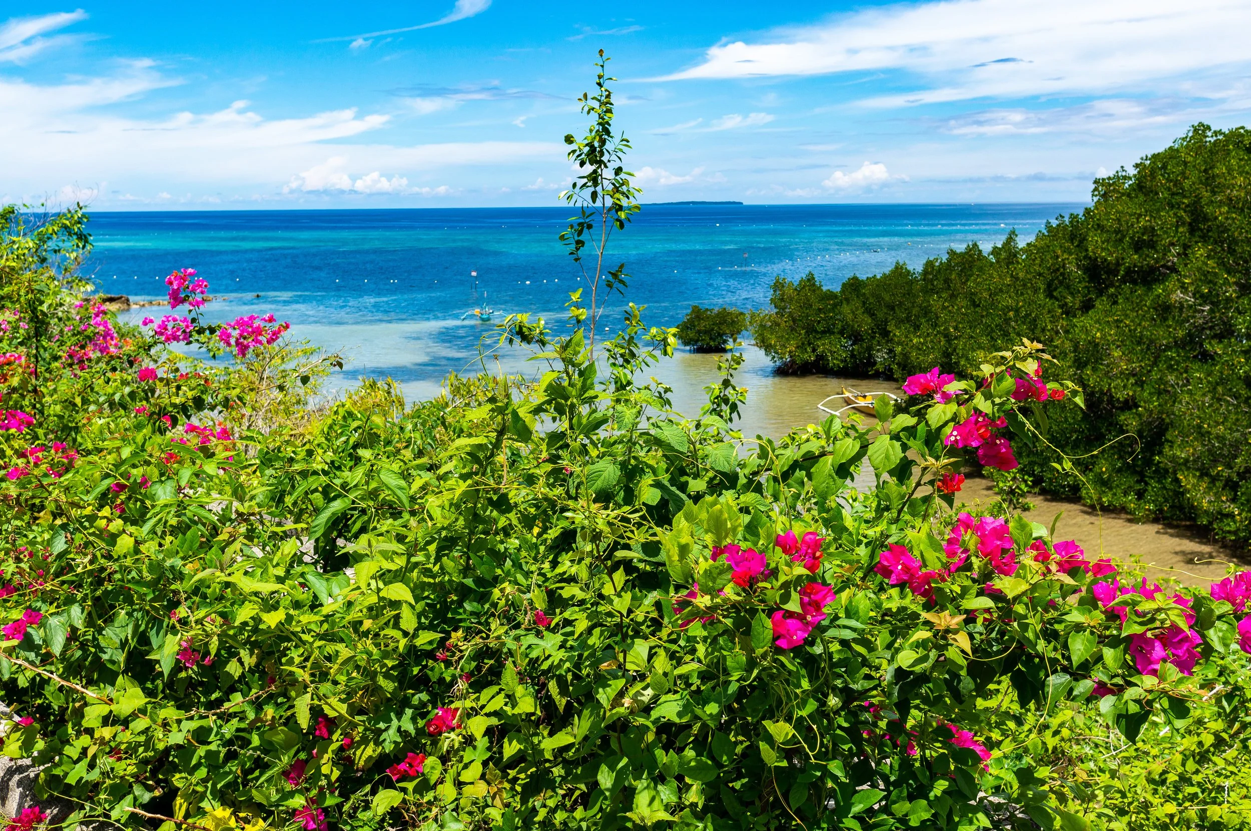 Bohol-31.jpg
