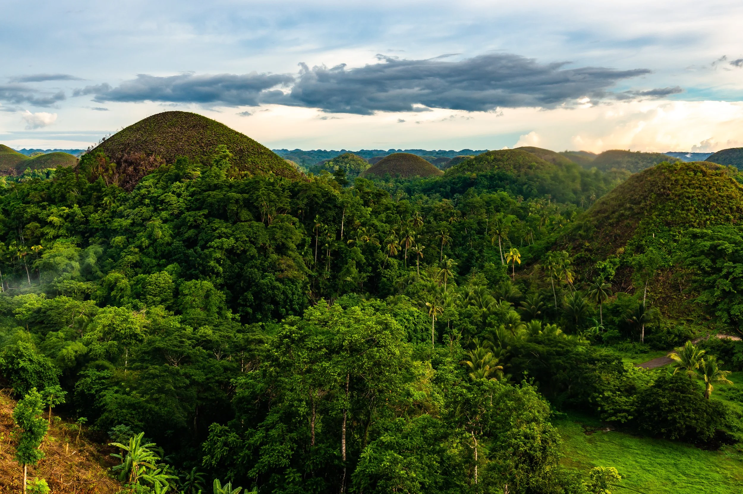 Bohol-67.jpg