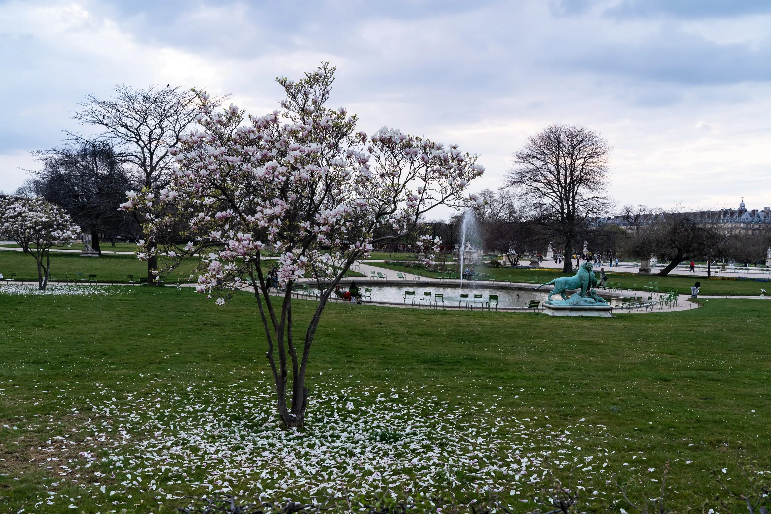 D3-03072.jpg
