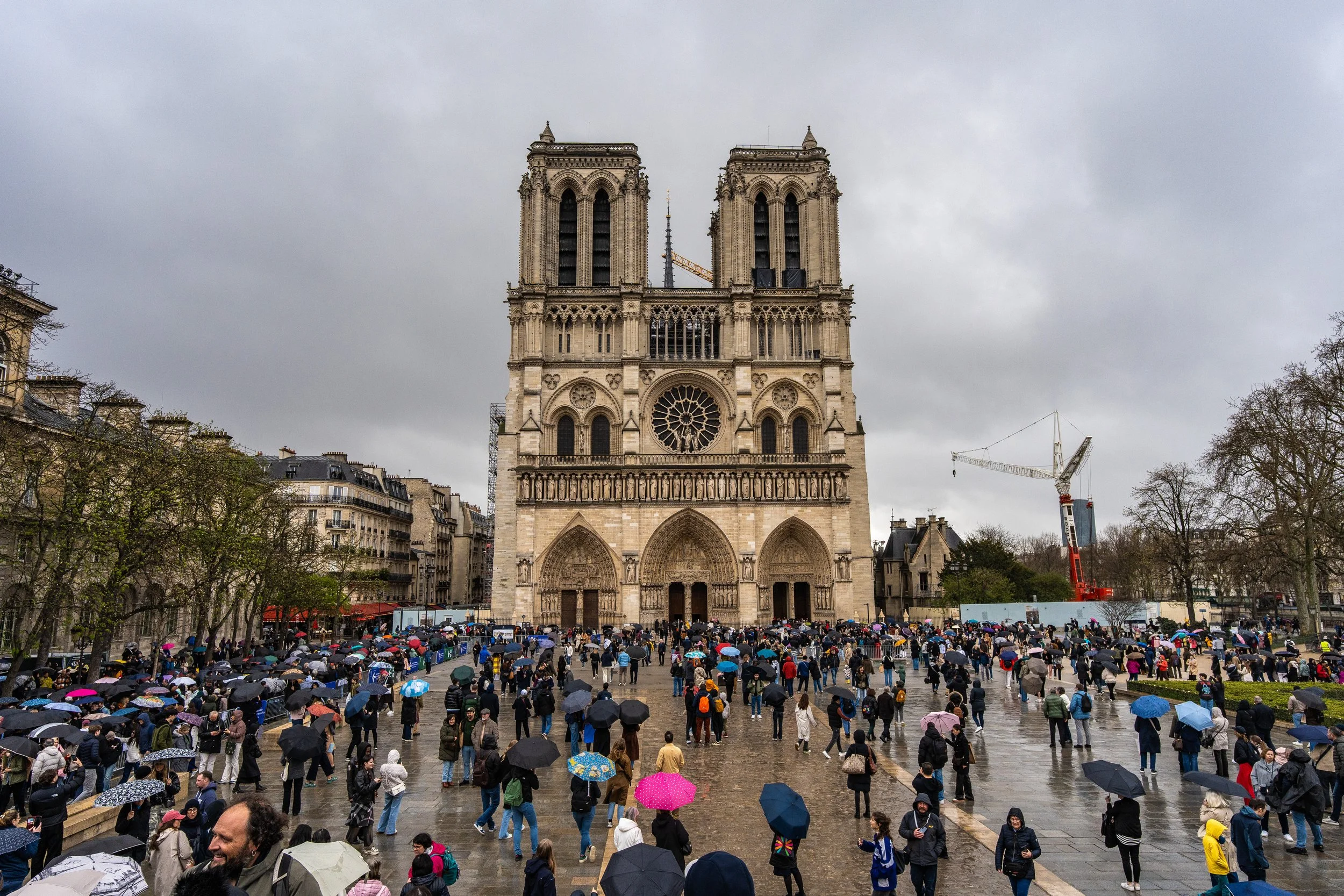 D2-02809.jpg