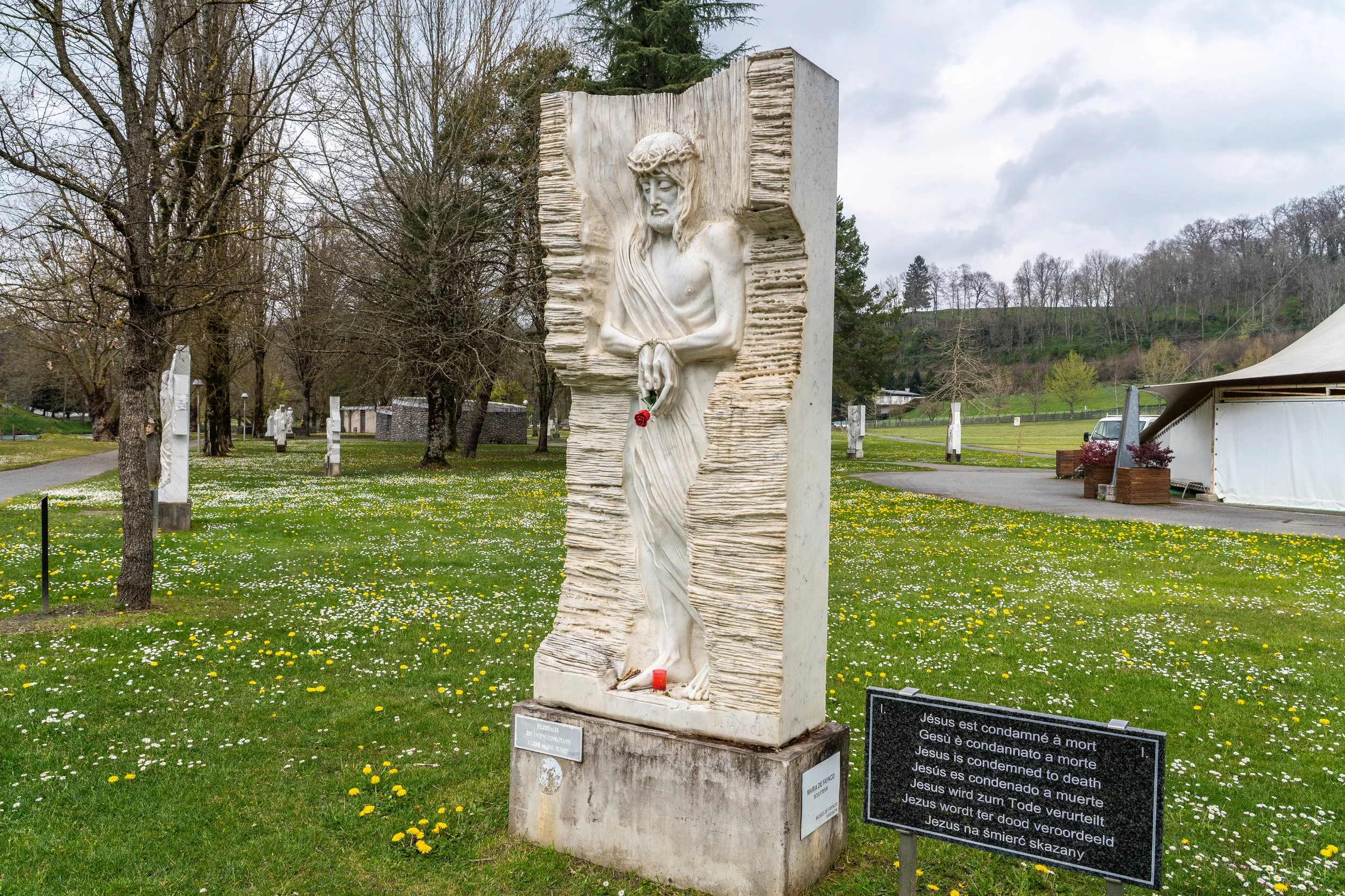 D6-03209.jpg