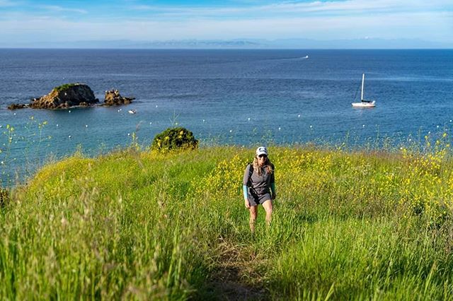 Aria anchored at Emerald Bay and hiking through wildflowers. ❤🙏⛵
#sailingaria #sailboatlife #liveaboardlife #catalinaisland #emeraldbay