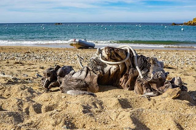 Liveaboard beach life.
...
...
#sailingaria #sailboatlife #liveaboardlife #catalinaisland #emeraldbay #twoharborscatalina  #favoriteanchorages