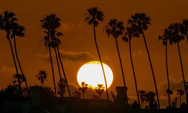 Alamitos Bay at Sunset.
...
...
#alamitosbay #californiasunset #everydayisanadventure #travellife #californialove #sailboatlife #sailingaria #sunrisetosunset