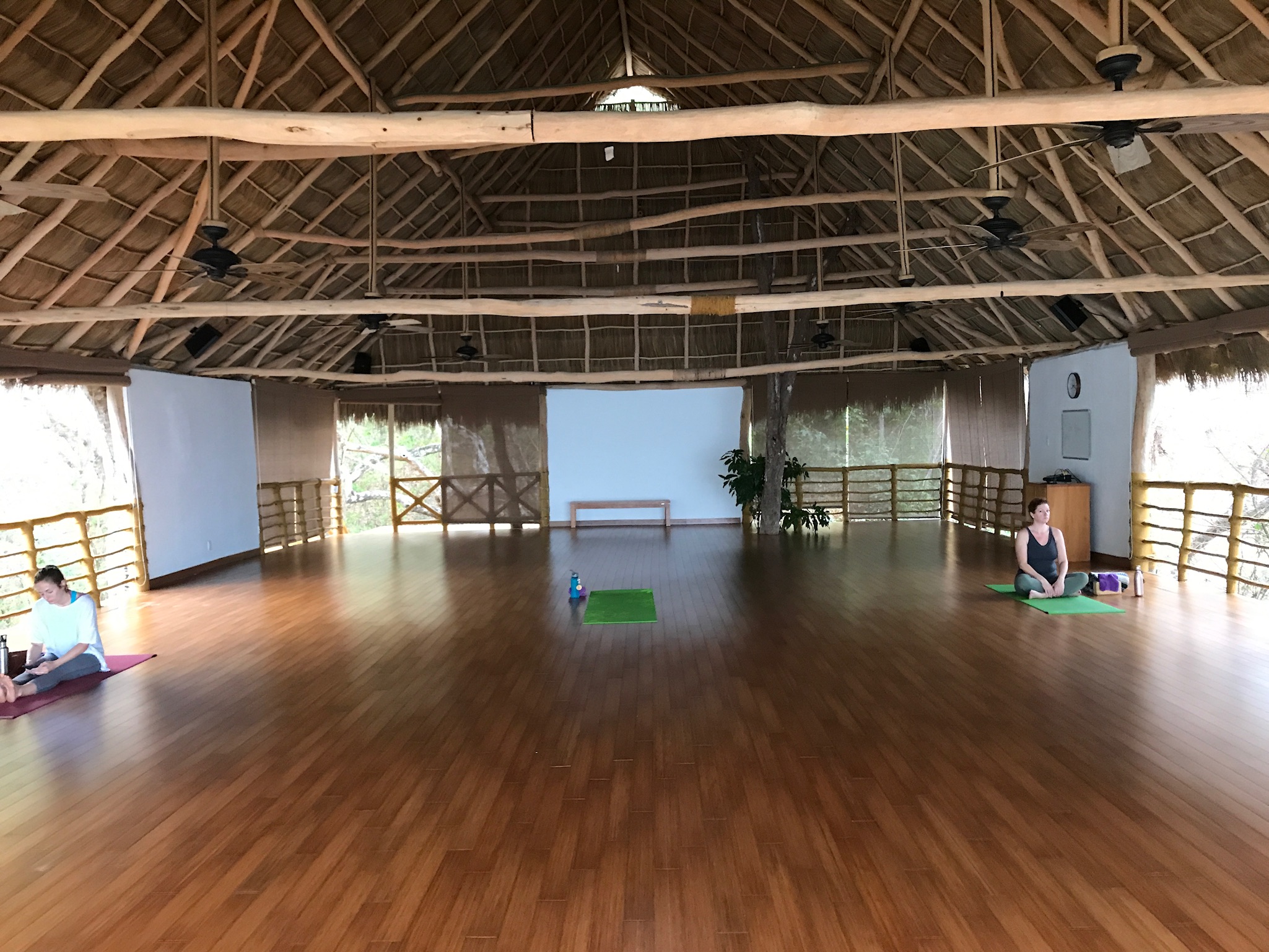  Also the Jungle Studio where yoga classes can be held. 