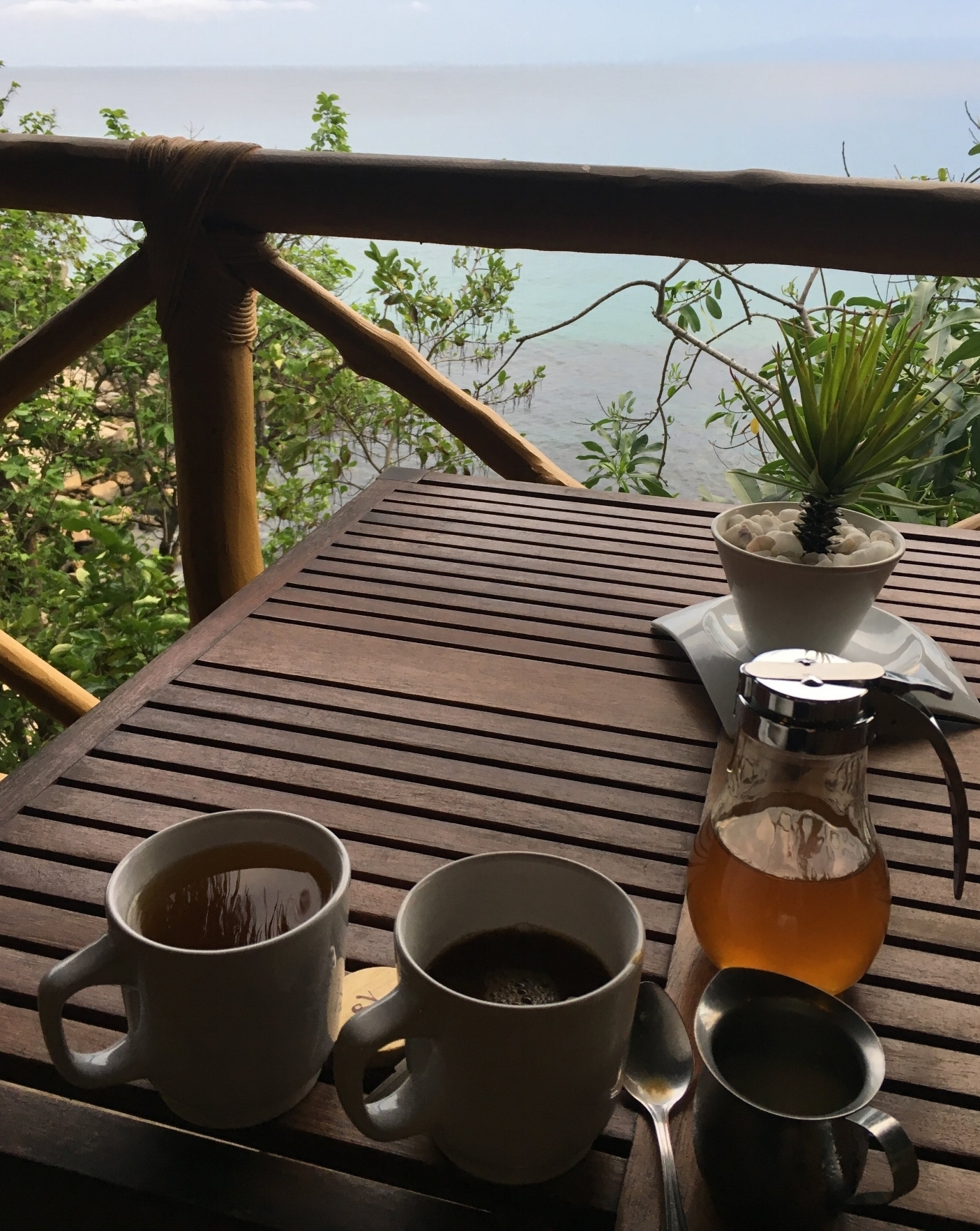 Coffee, fresh almond milk, local honey with this morning view