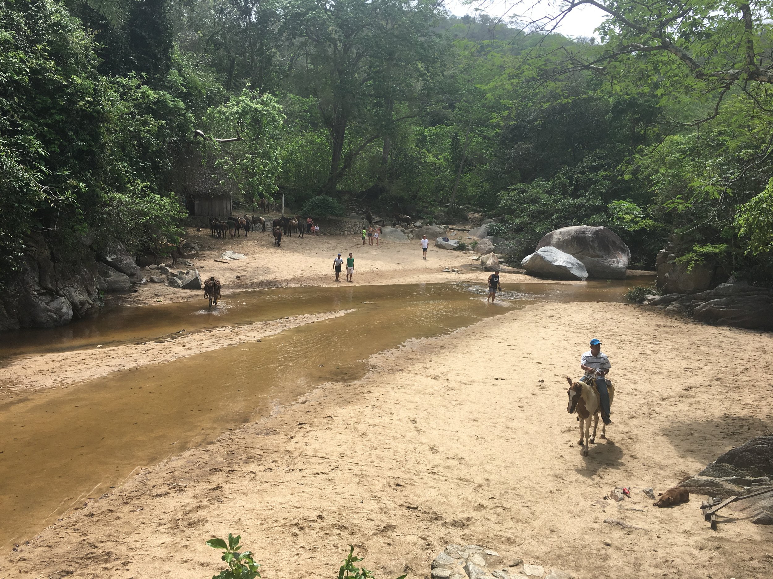  Almost to the local waterfall. You can opt to take the trail there by horse. 