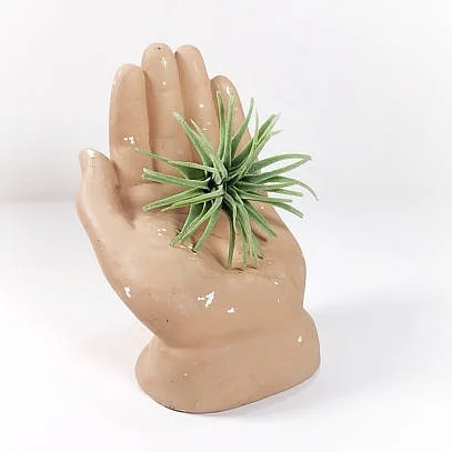 chattcat-handceramic.jpg