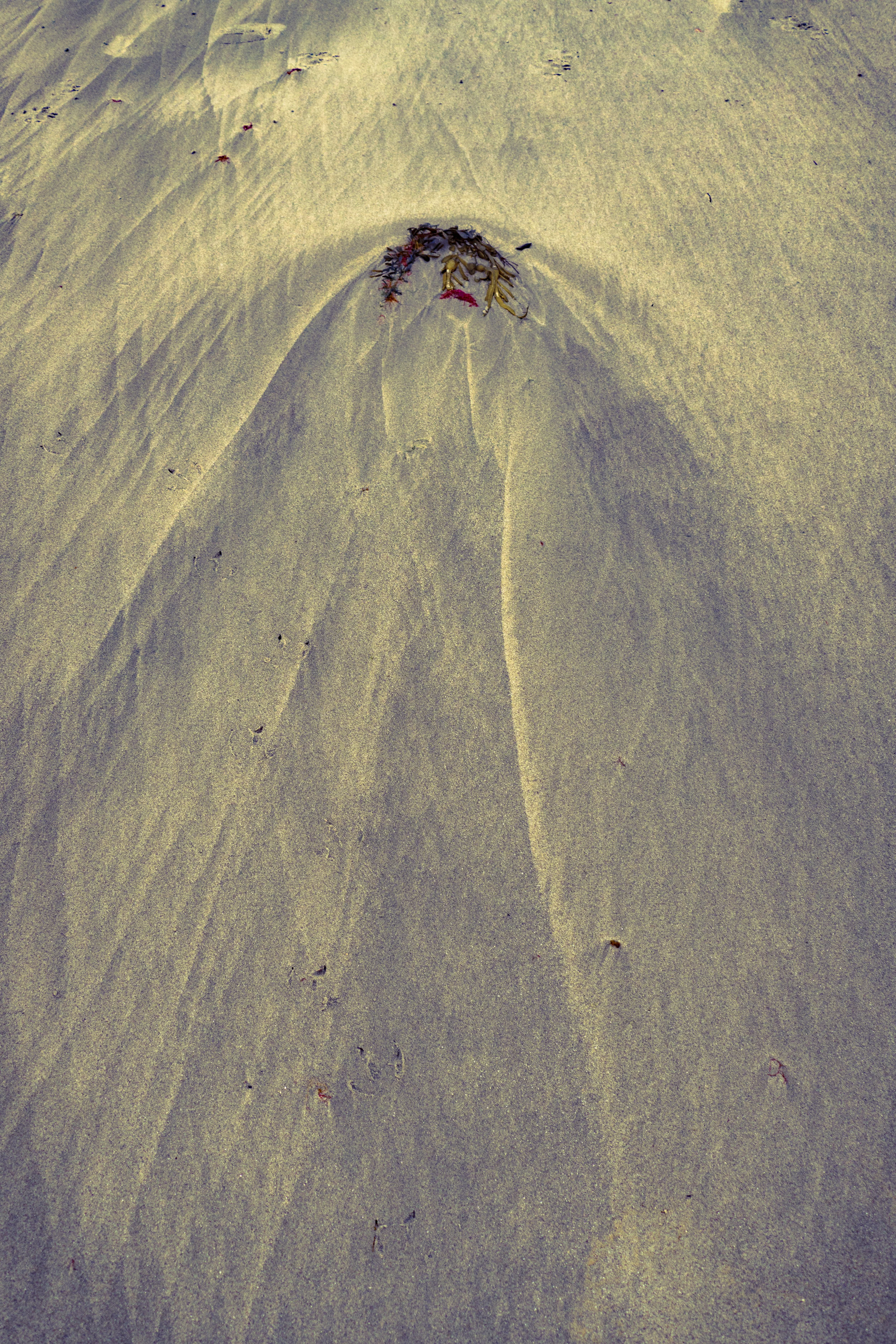 Transmigration limited 1. Deborah Goudreault_.jpg