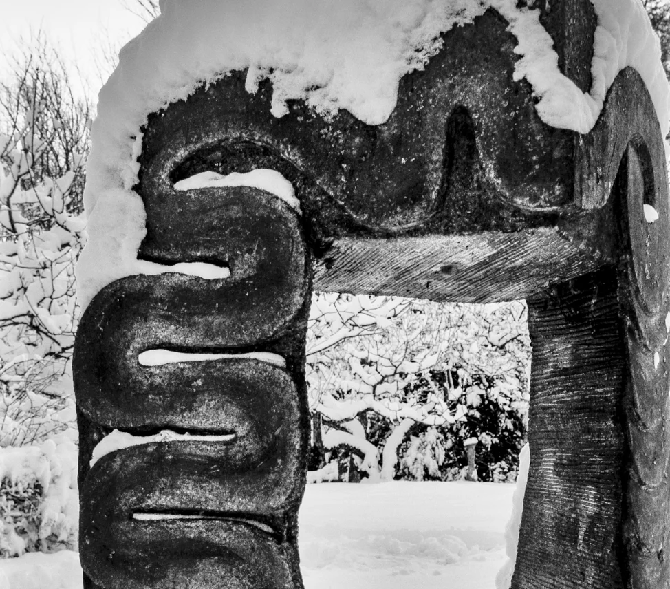 Paul Caponigro: Thanks to a Master of Light