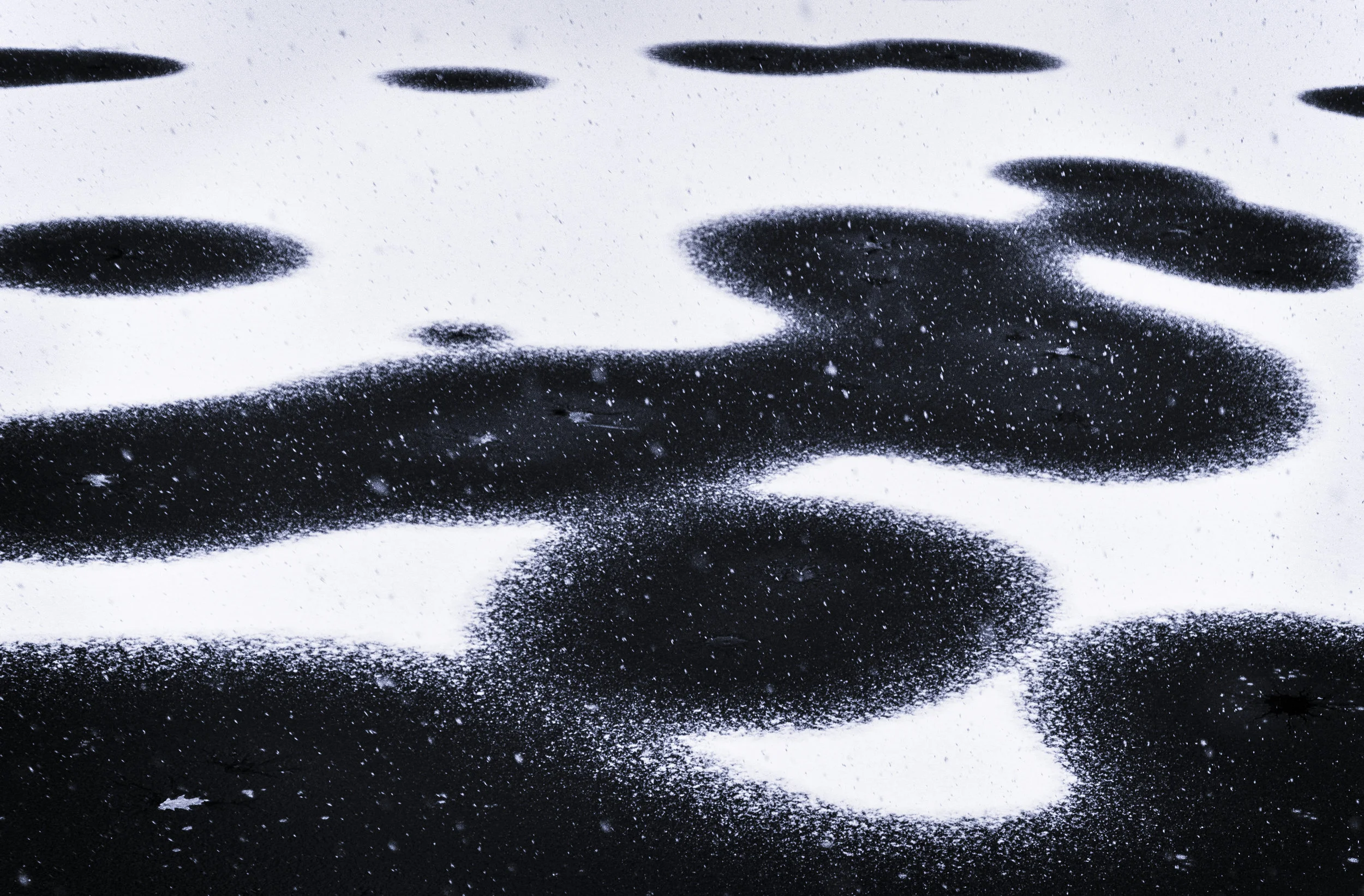 Discoboli 2B Add LMI copyright2019 Deborah Goudreault_.jpg