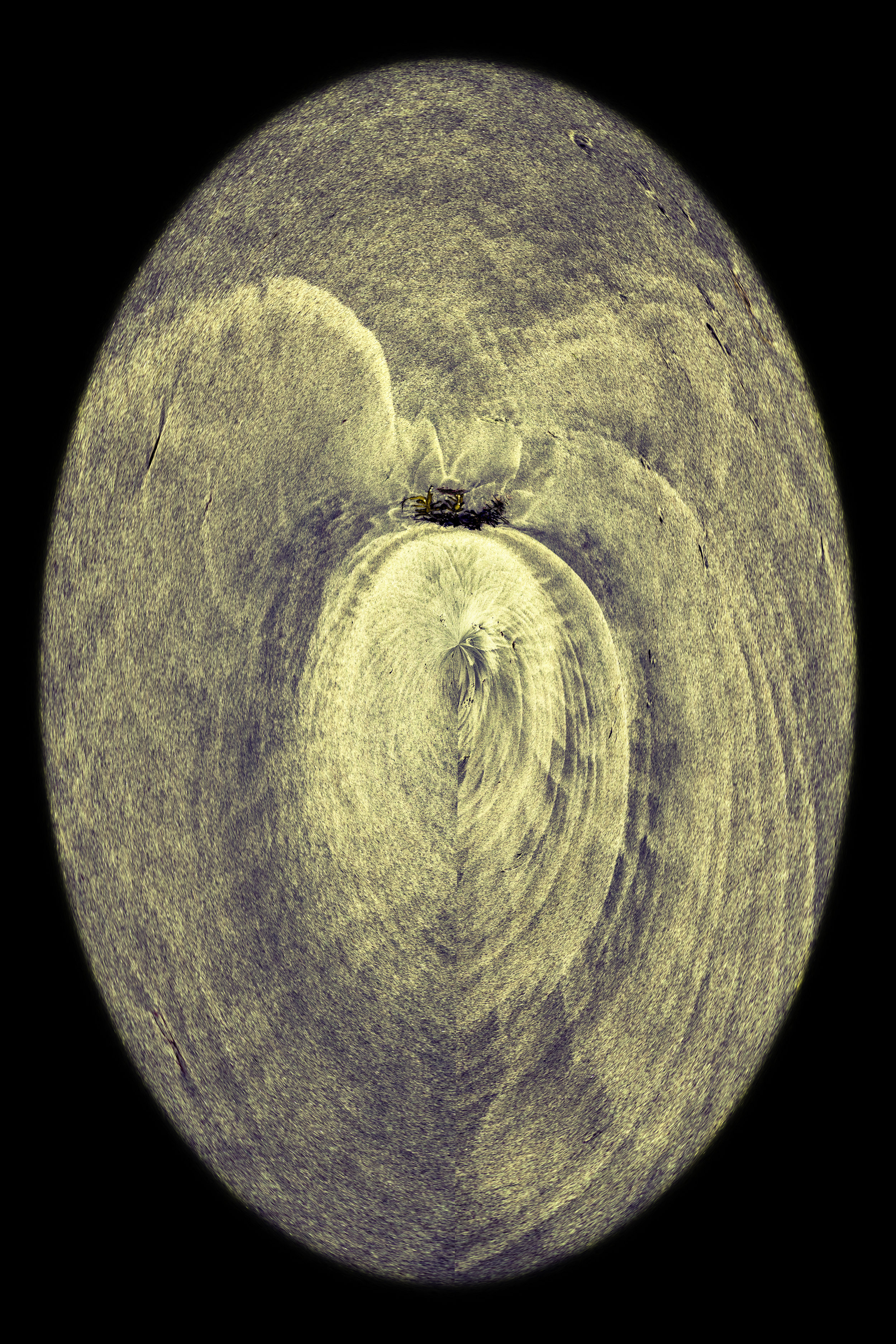 Vortex18 copyright2019 Deborah Goudreault_.jpg