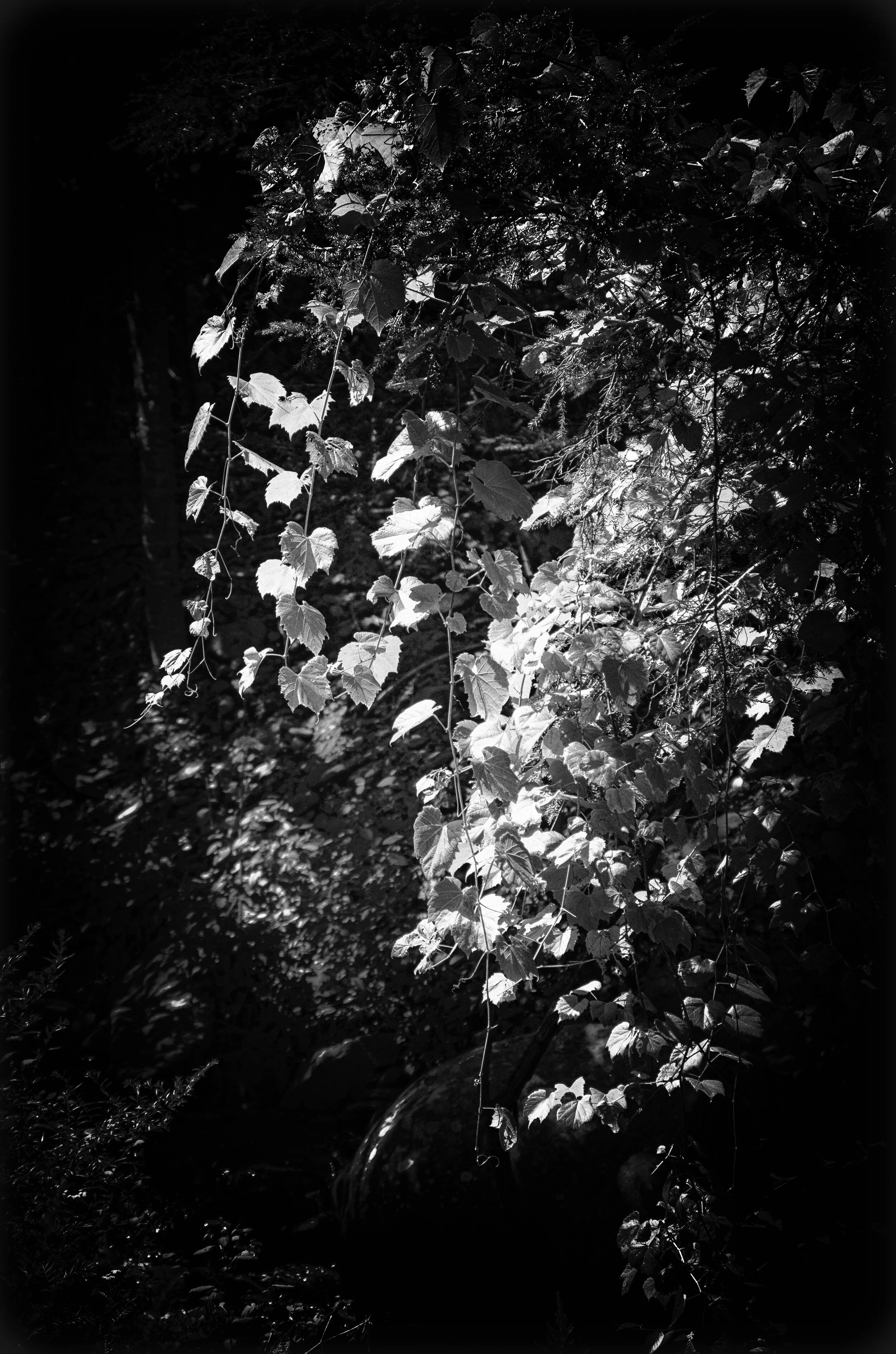 Breathing Light