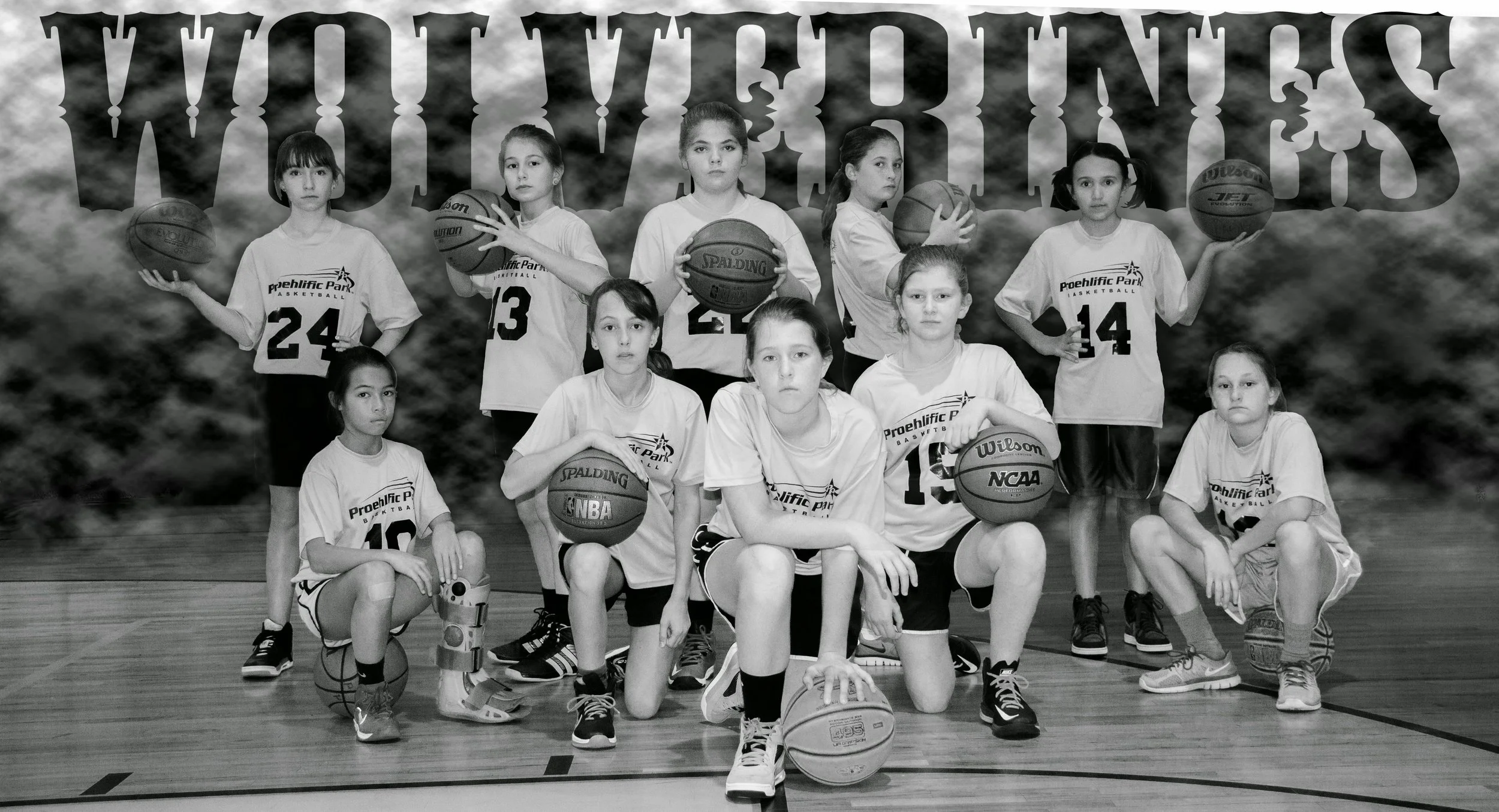 Wolverines Serious Black-White.jpg