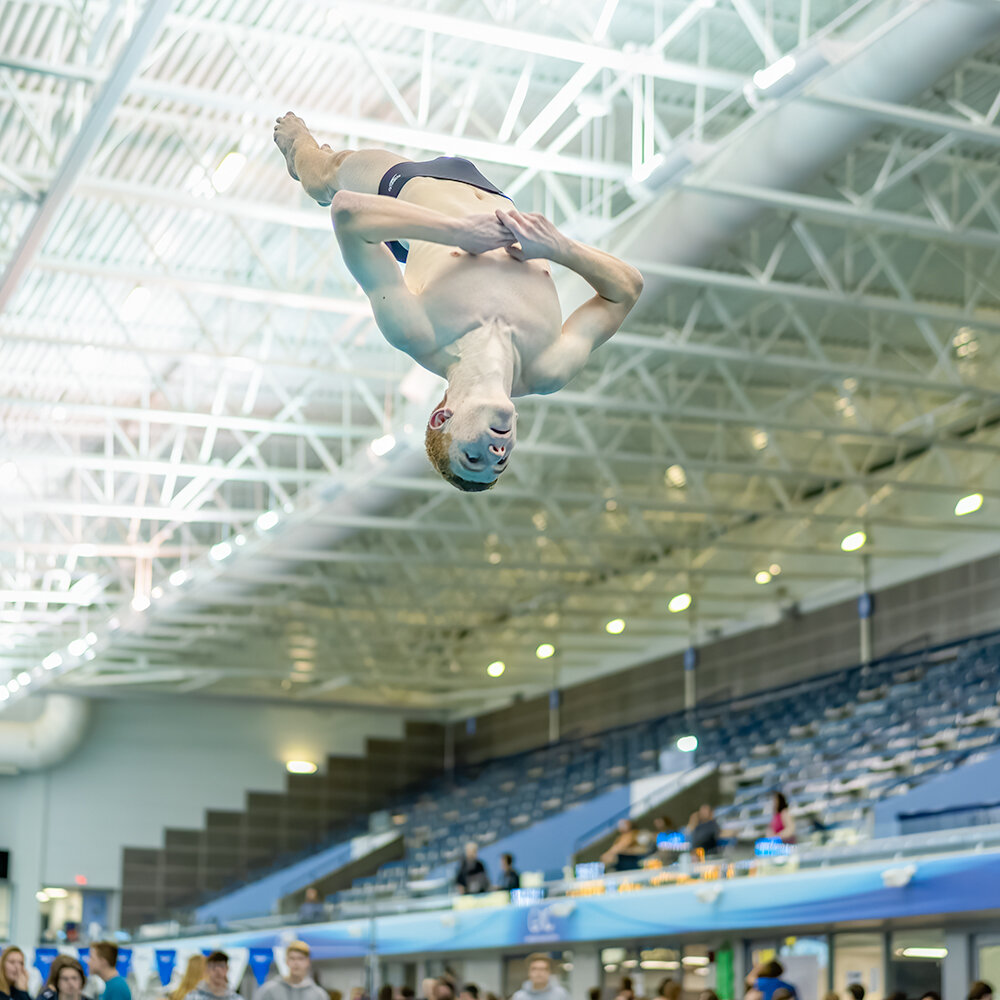 Diving Picture in Greensboro NC