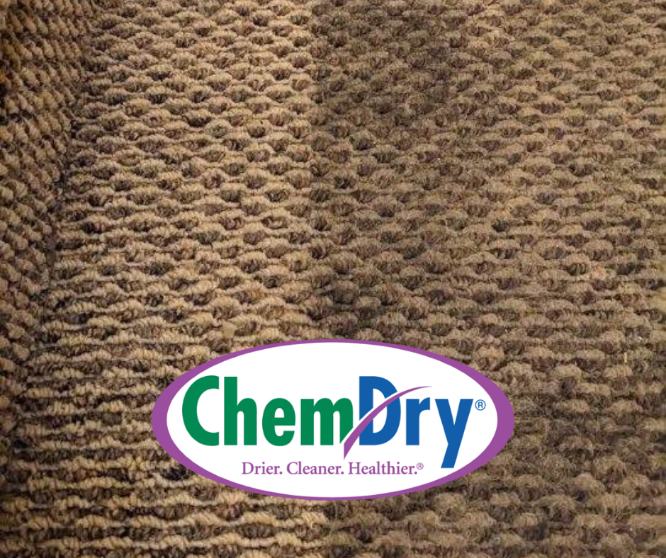 carpet before and after ams chemdry carpet cleaning.png