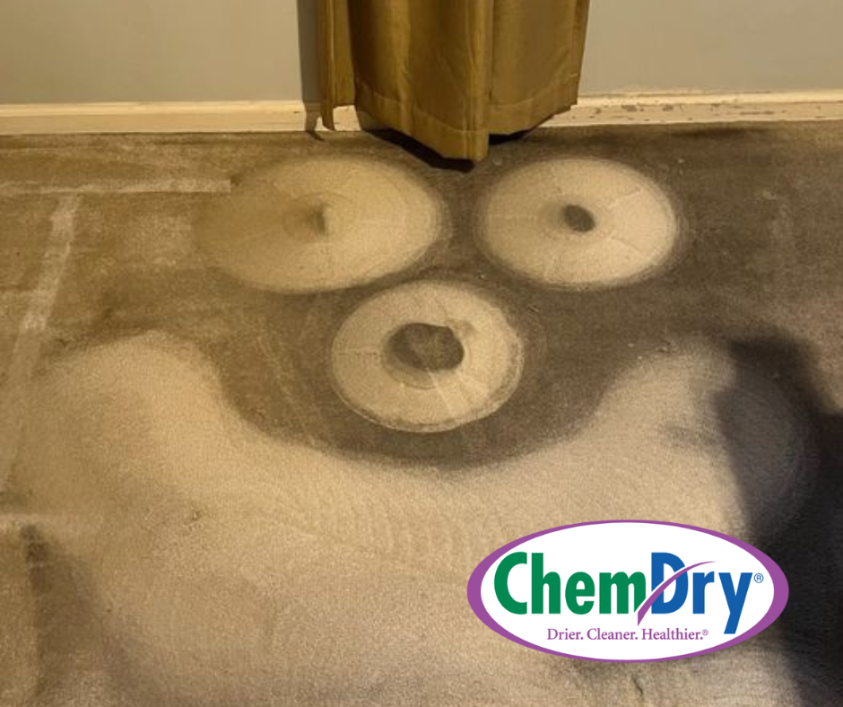 happy carpet ams chemdry carpet cleaning.png