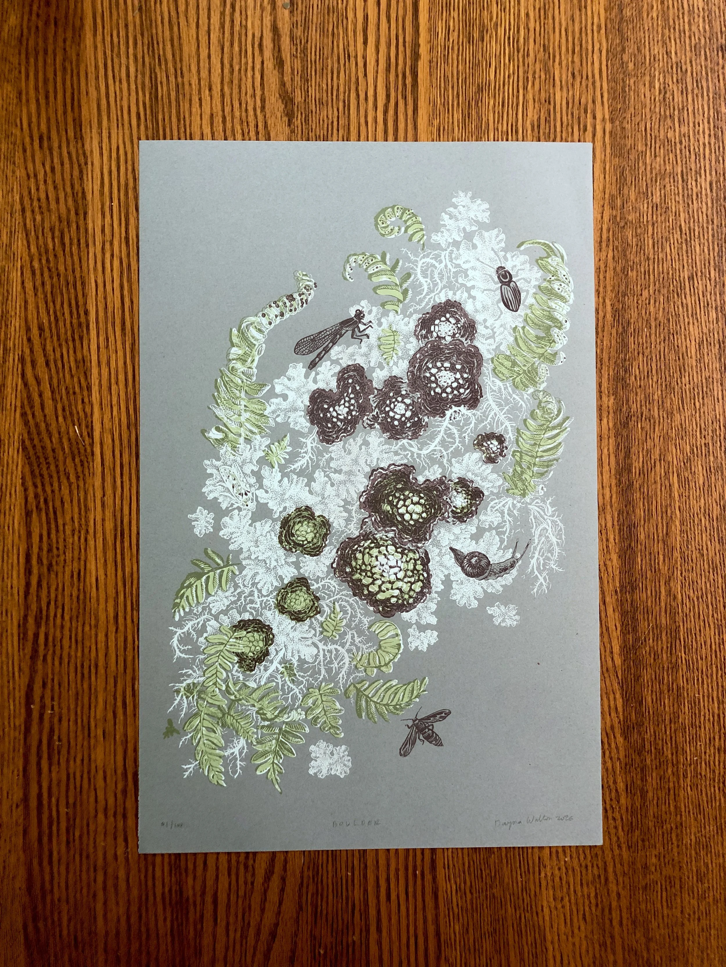 Boulder print.JPG