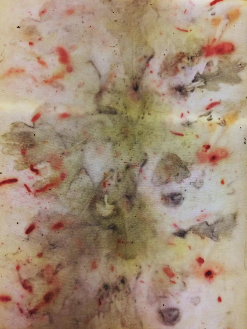 Madder root and Oak leaves left bold impressions. 