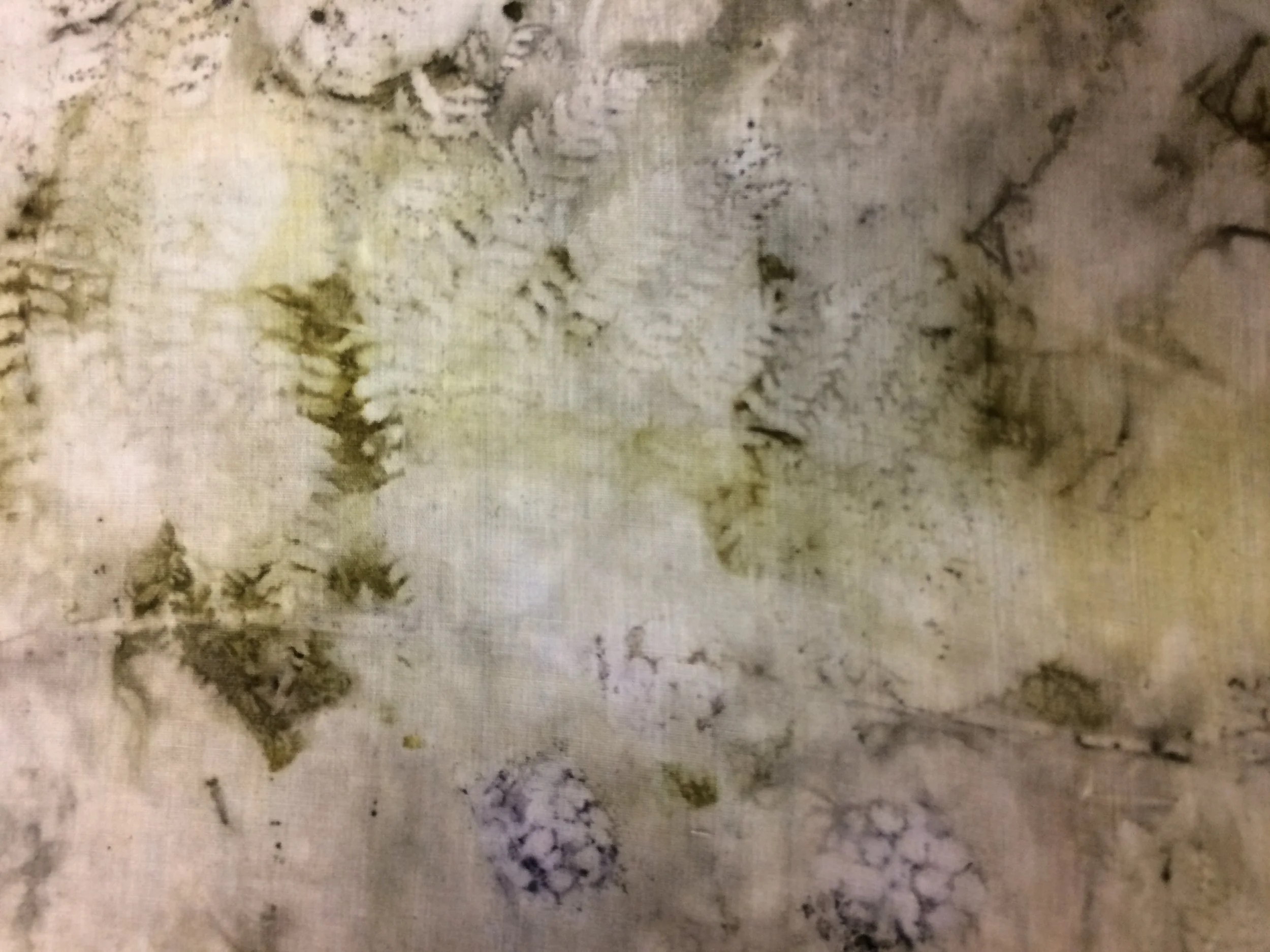 Bracken fern, goldenrod, and blackberry eco print