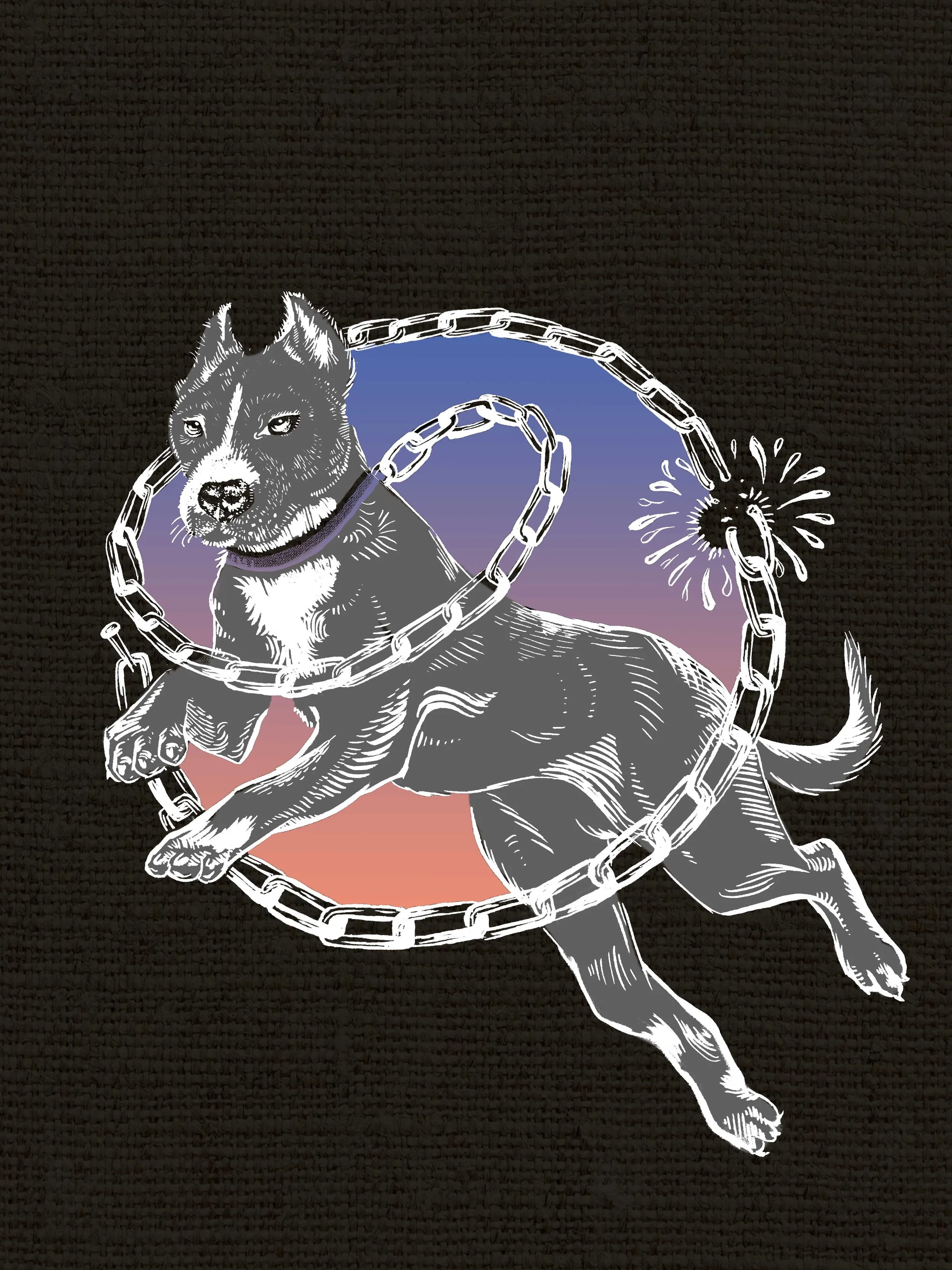 Dog-2grey.jpg