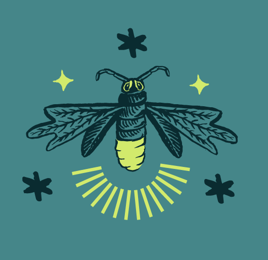 firefly.bug-04.png